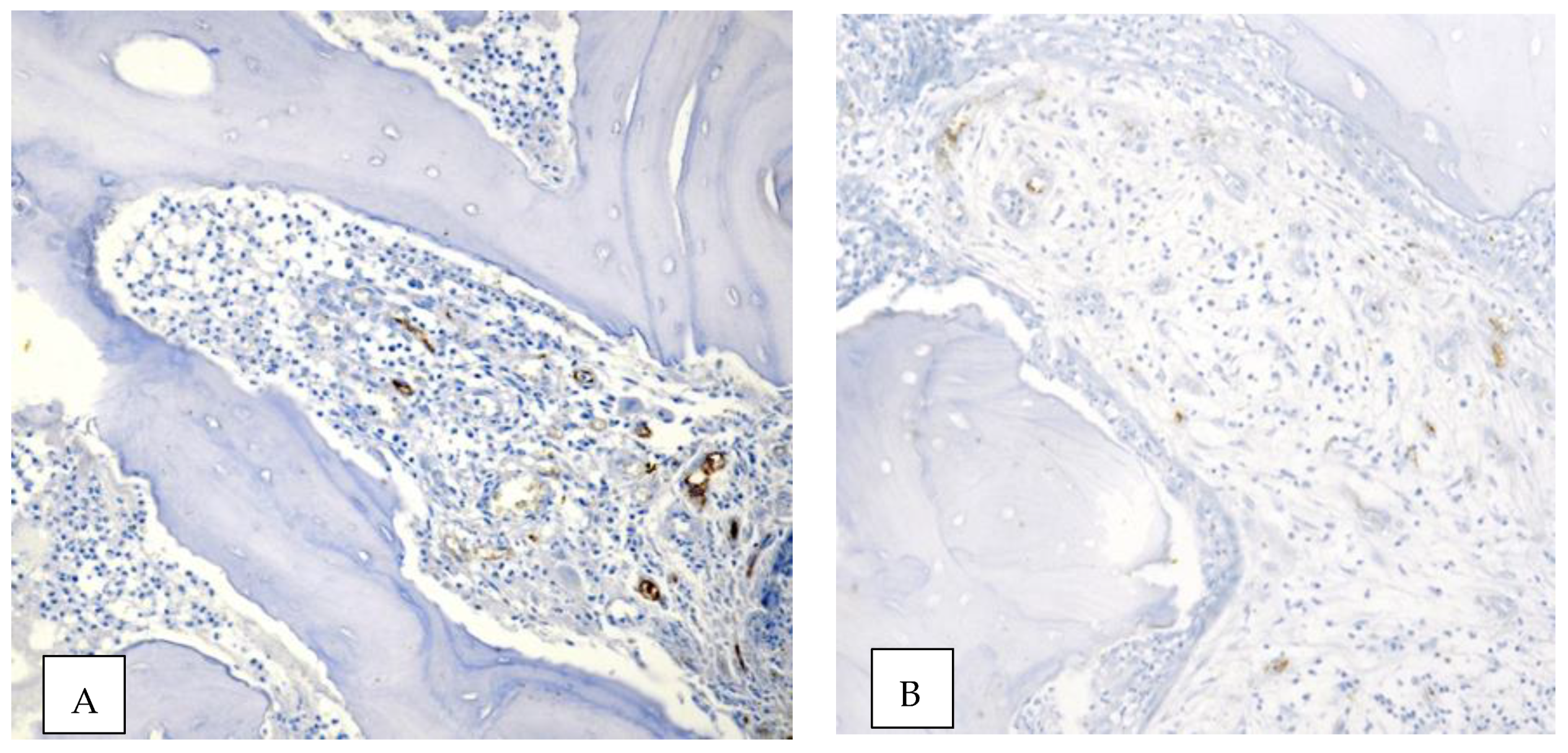 Ijerph 18 11362 g008