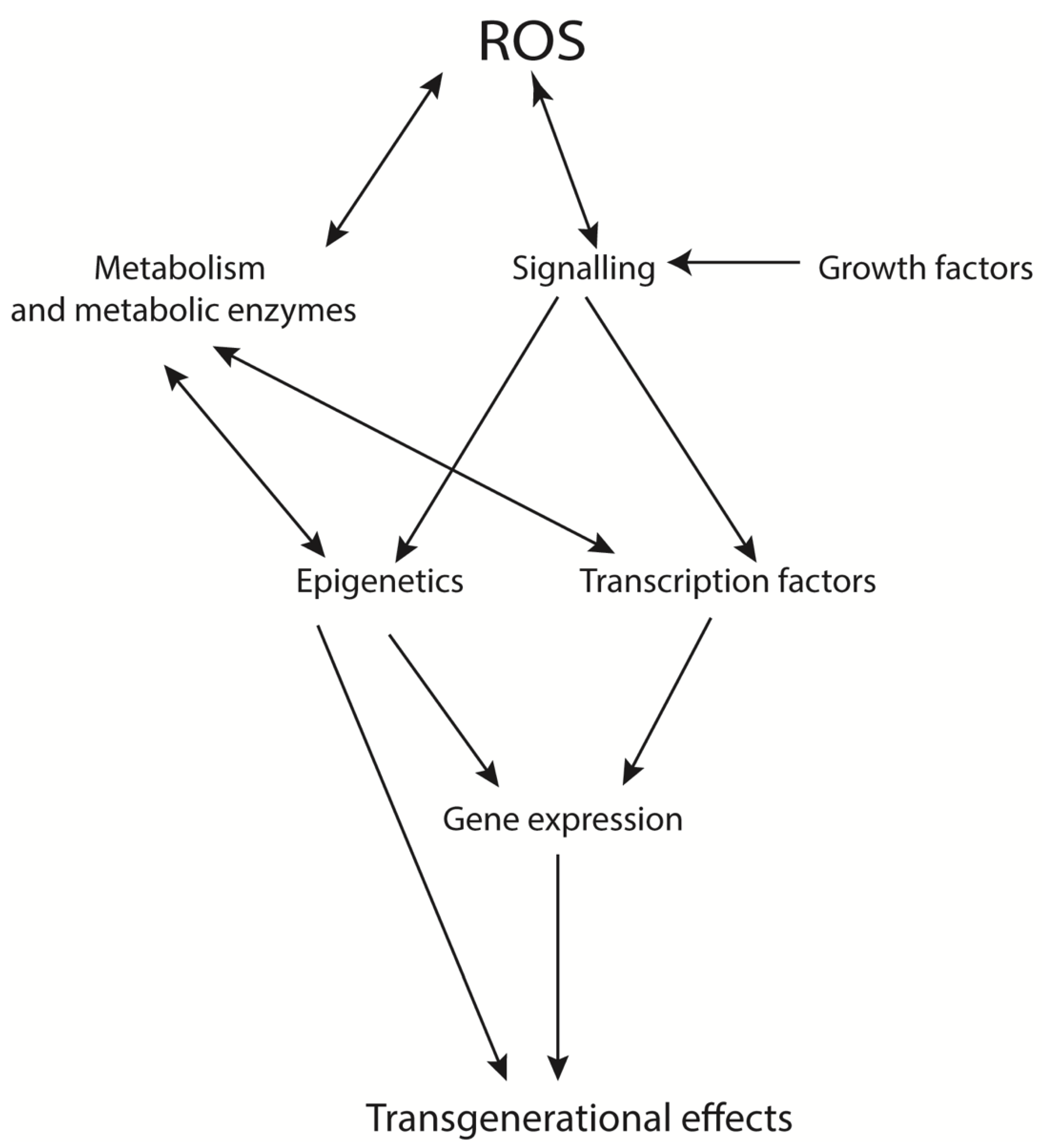 Ijerph 18 11374 g001