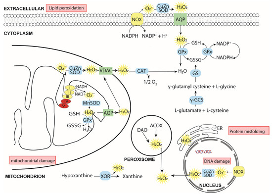 Ijerph 18 11374 g002