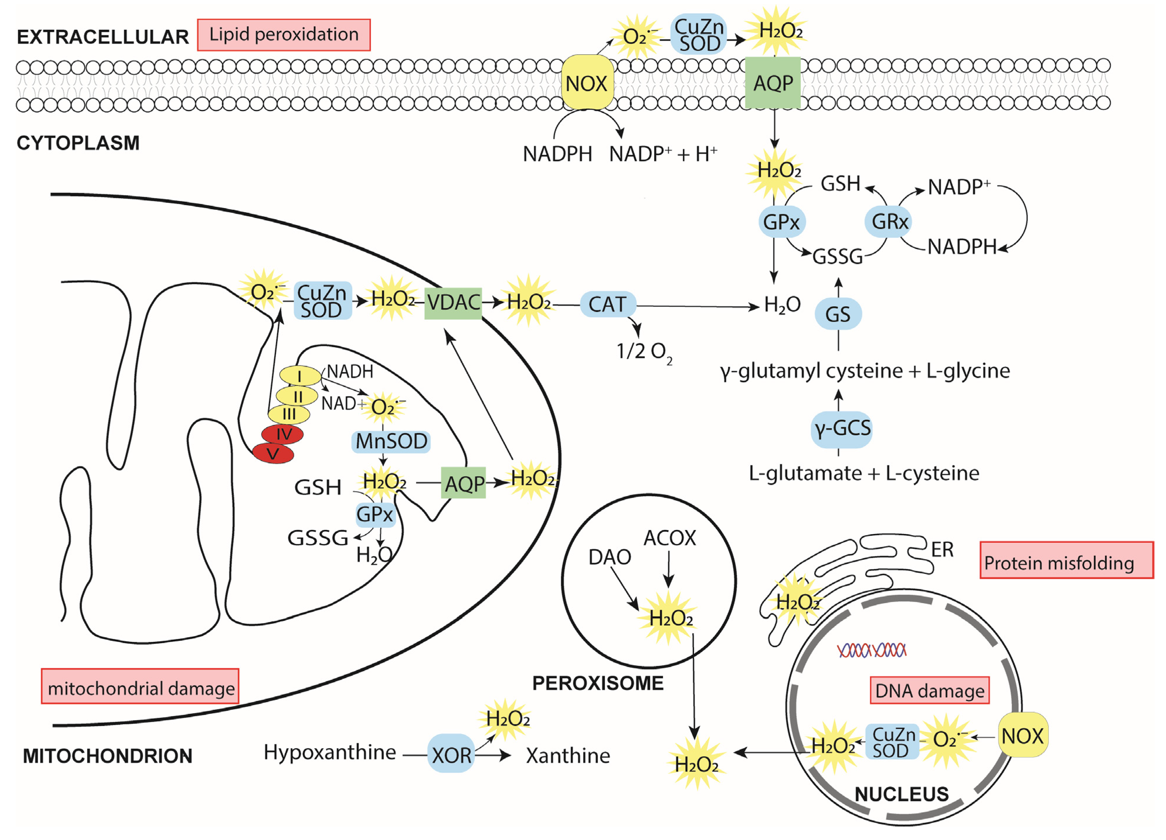 Ijerph 18 11374 g002