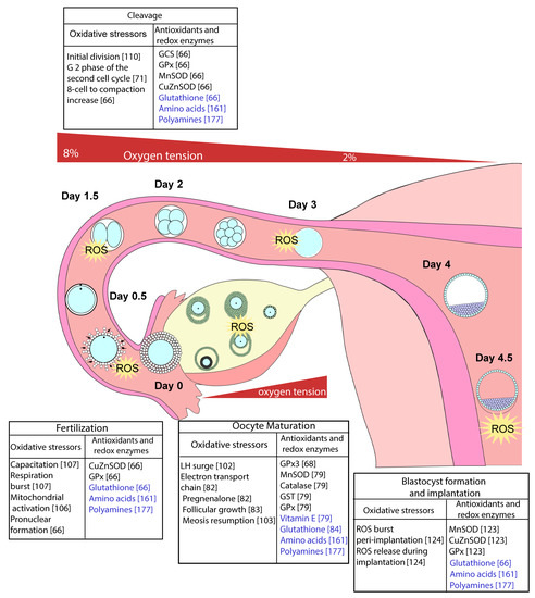 Ijerph 18 11374 g003