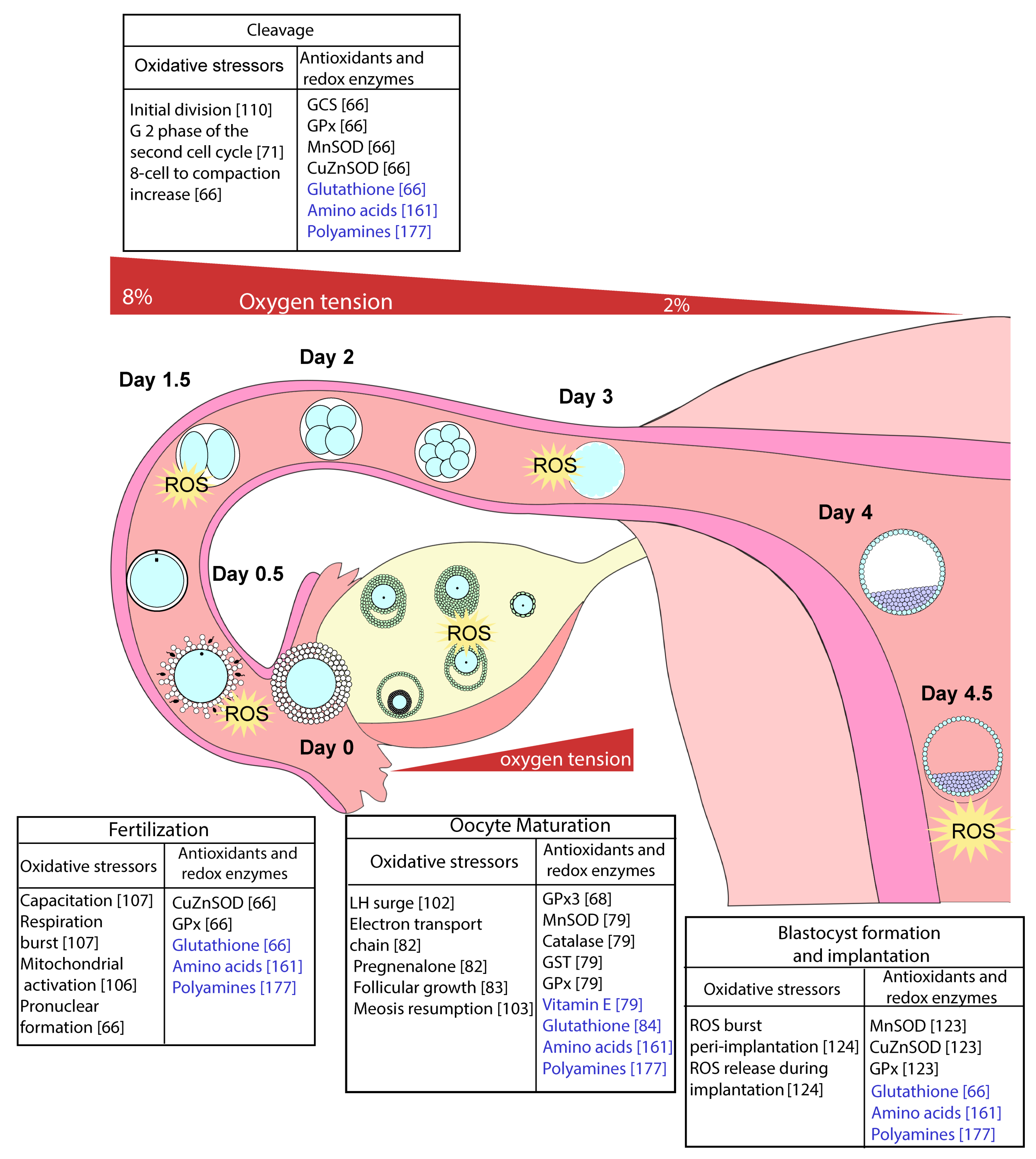Ijerph 18 11374 g003