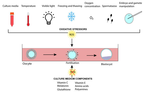 Ijerph 18 11374 g004
