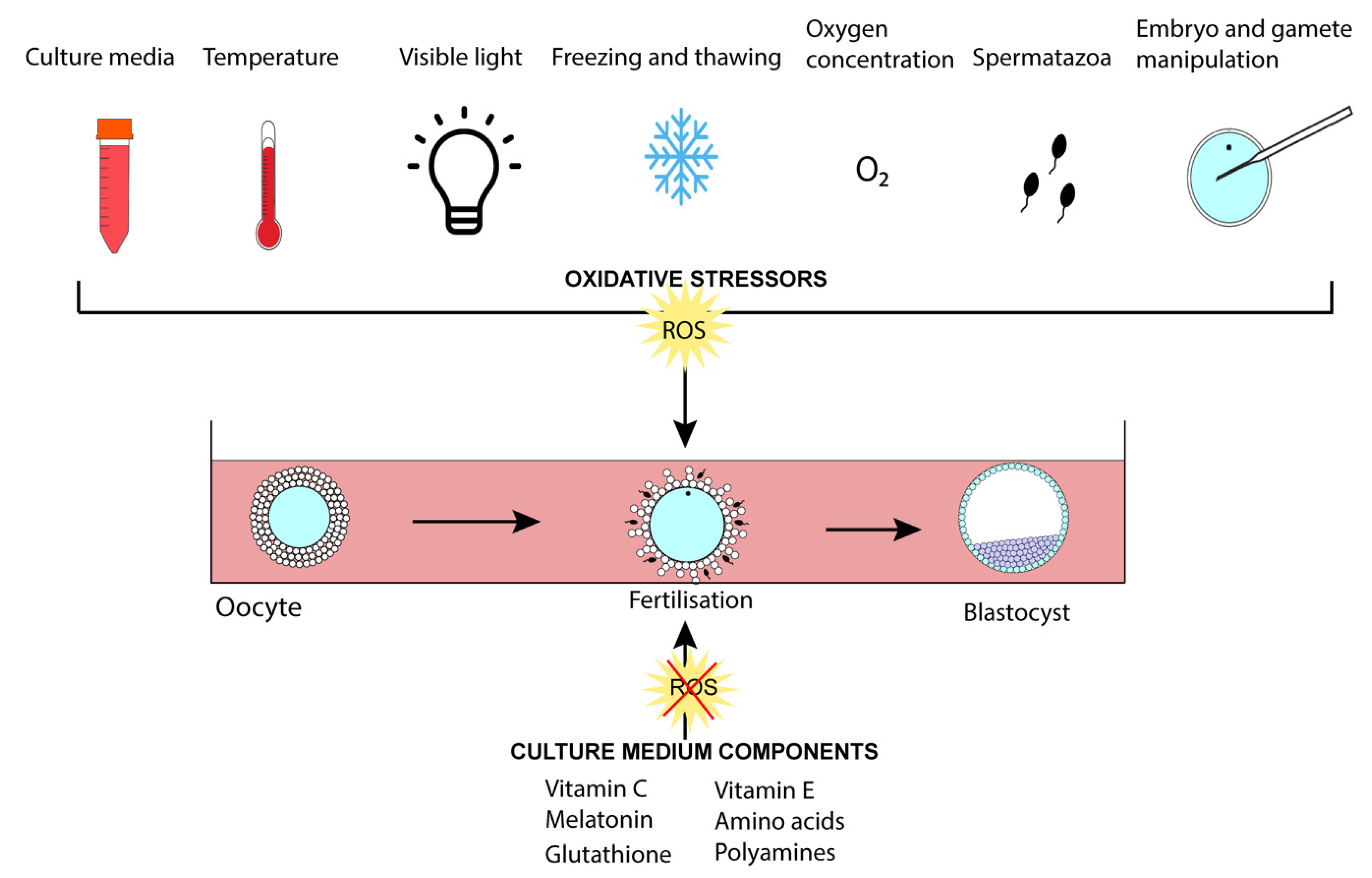 Ijerph 18 11374 g004
