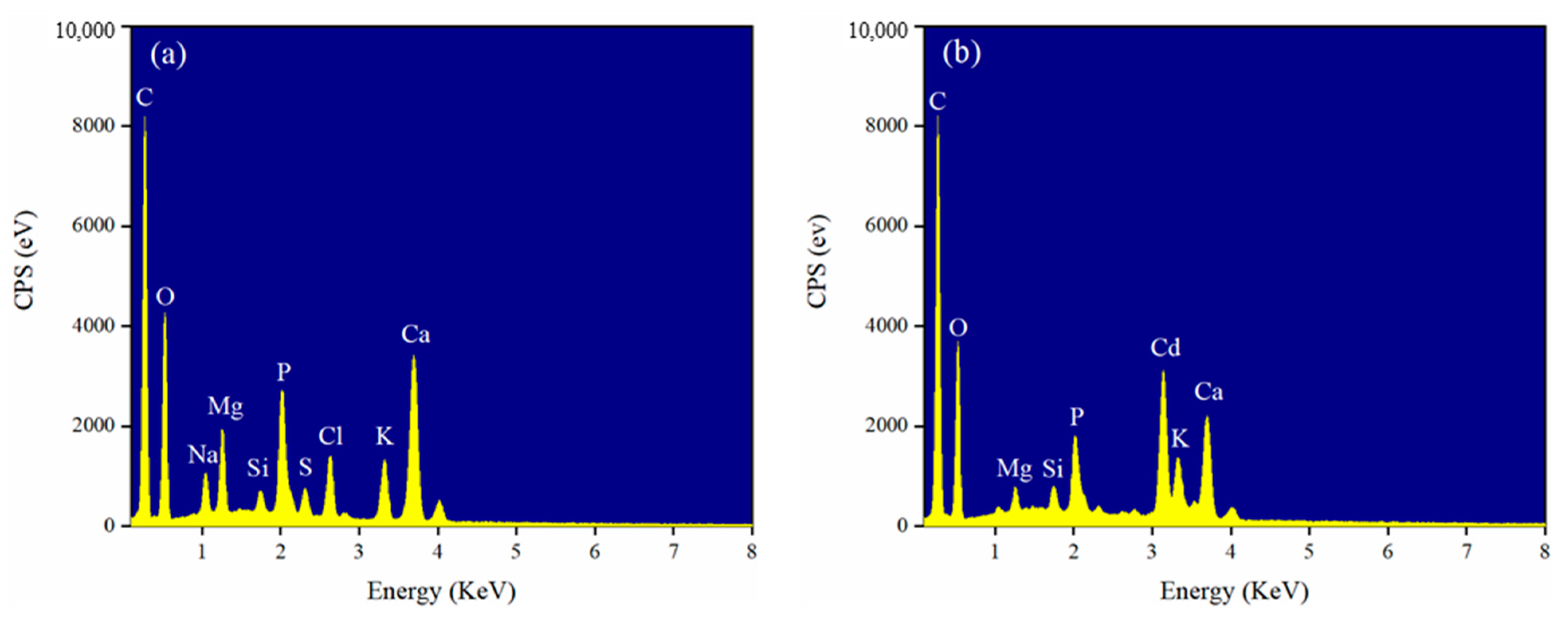 Ijerph 18 11413 g008