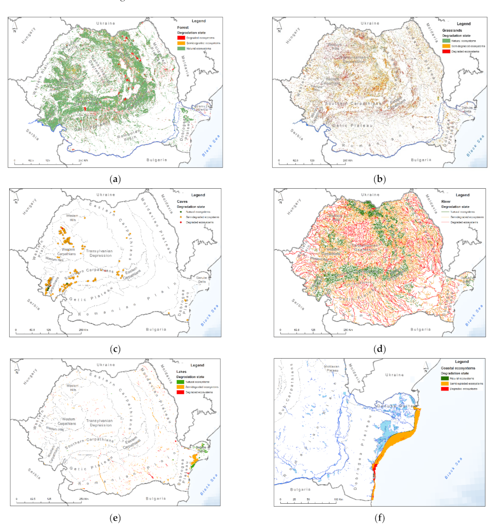 Ijerph 18 11416 g003