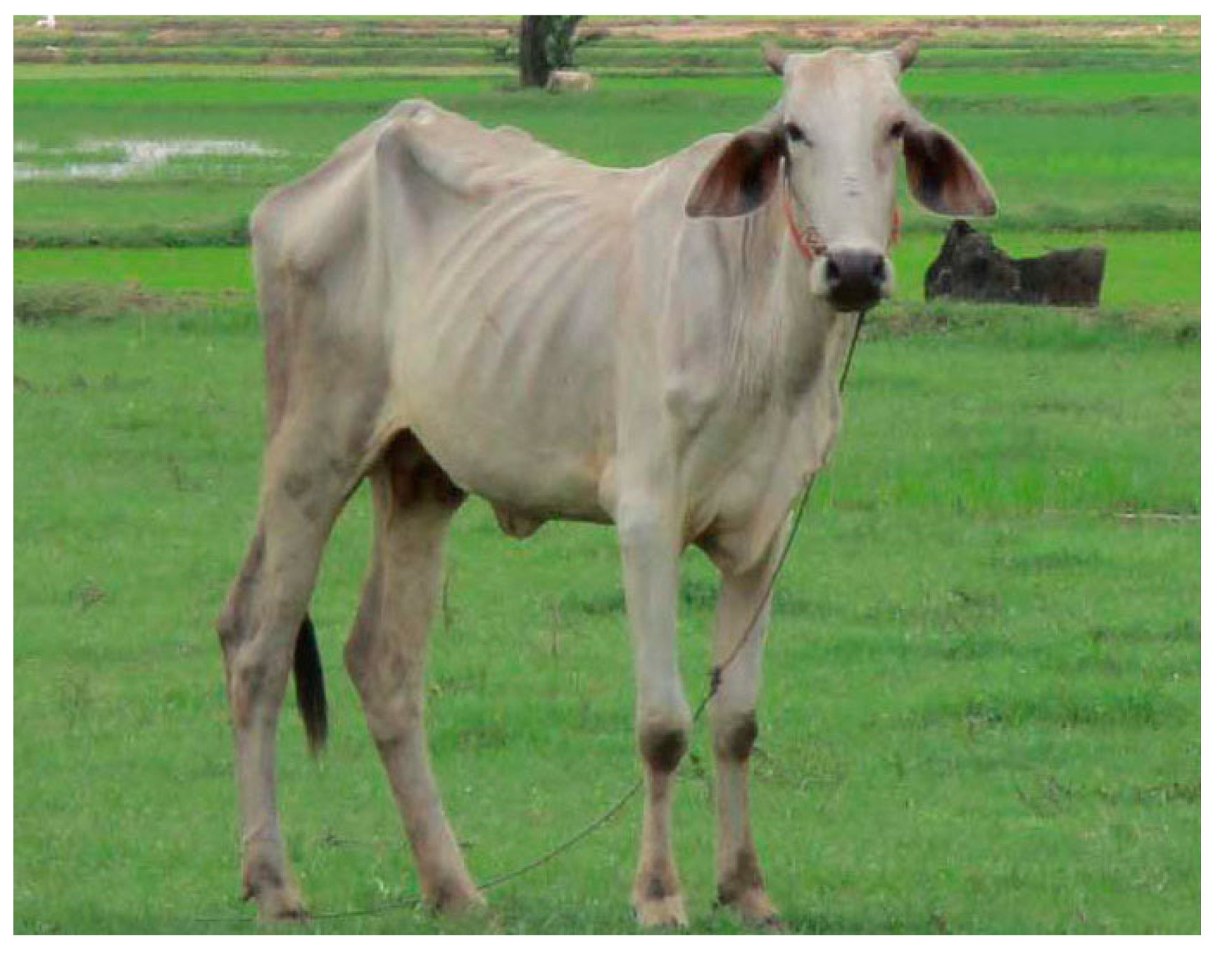 Ijerph 18 11446 g004