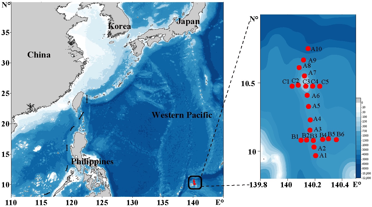 Ijerph 18 11470 g001