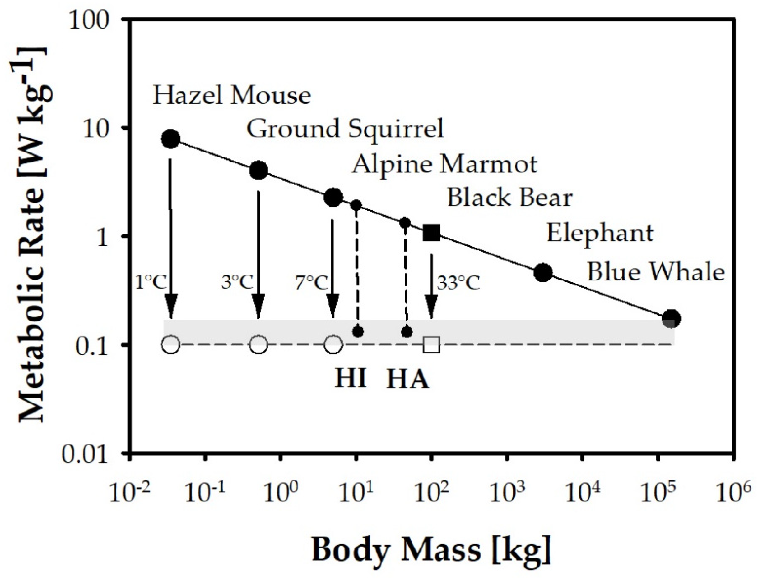 Ijerph 18 11484 g001