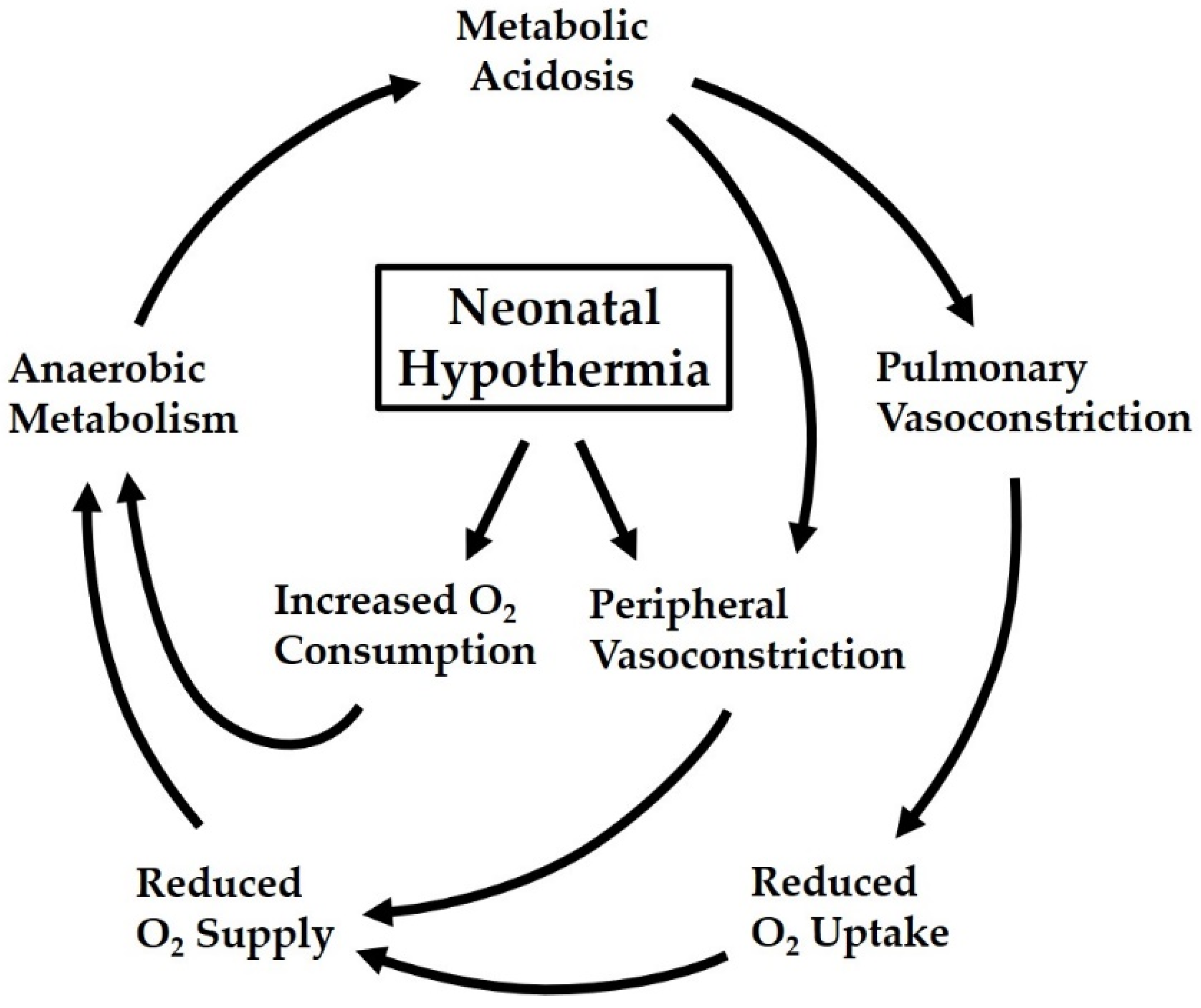 Ijerph 18 11484 g002