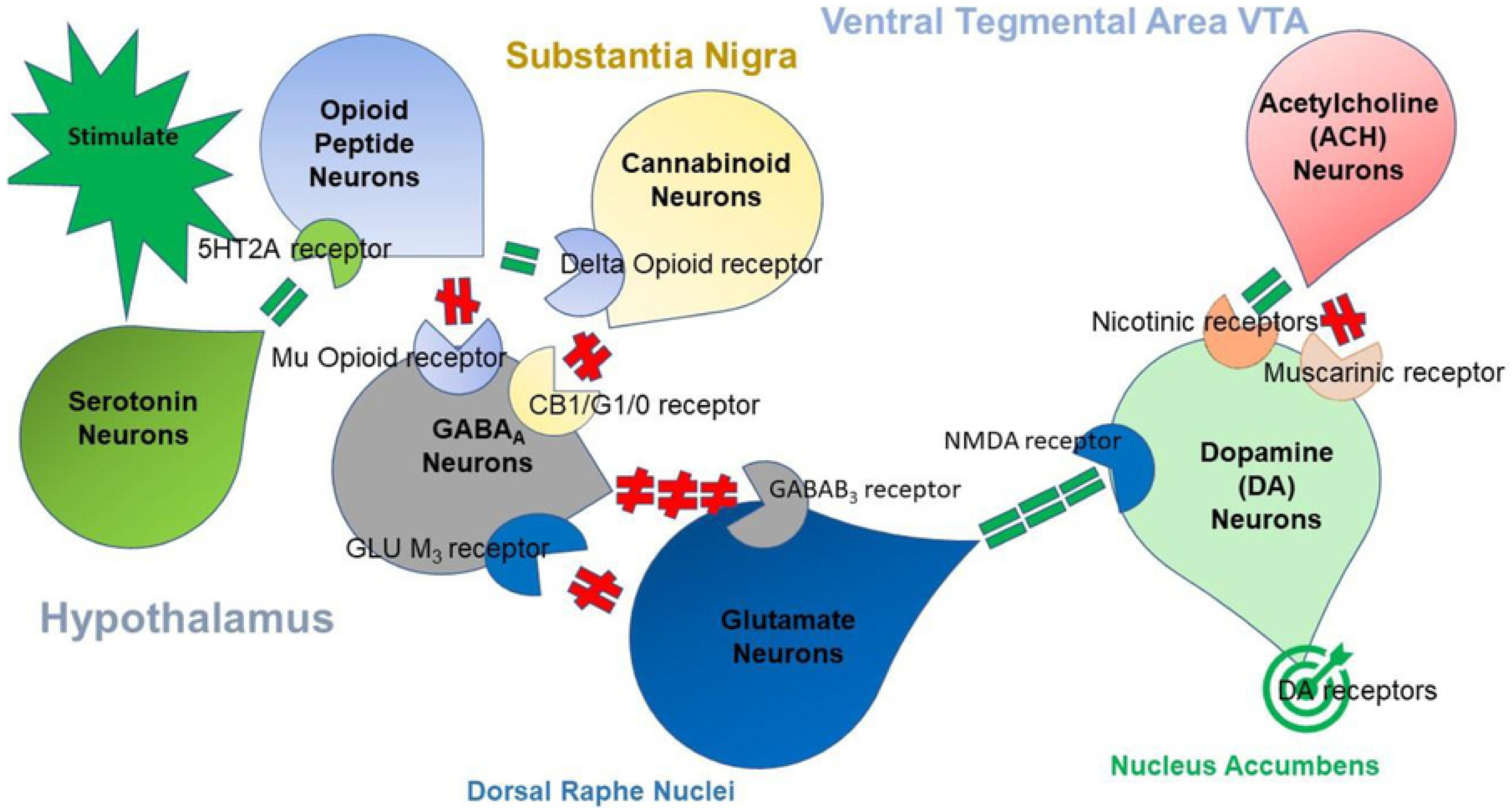 Ijerph 18 11529 g001