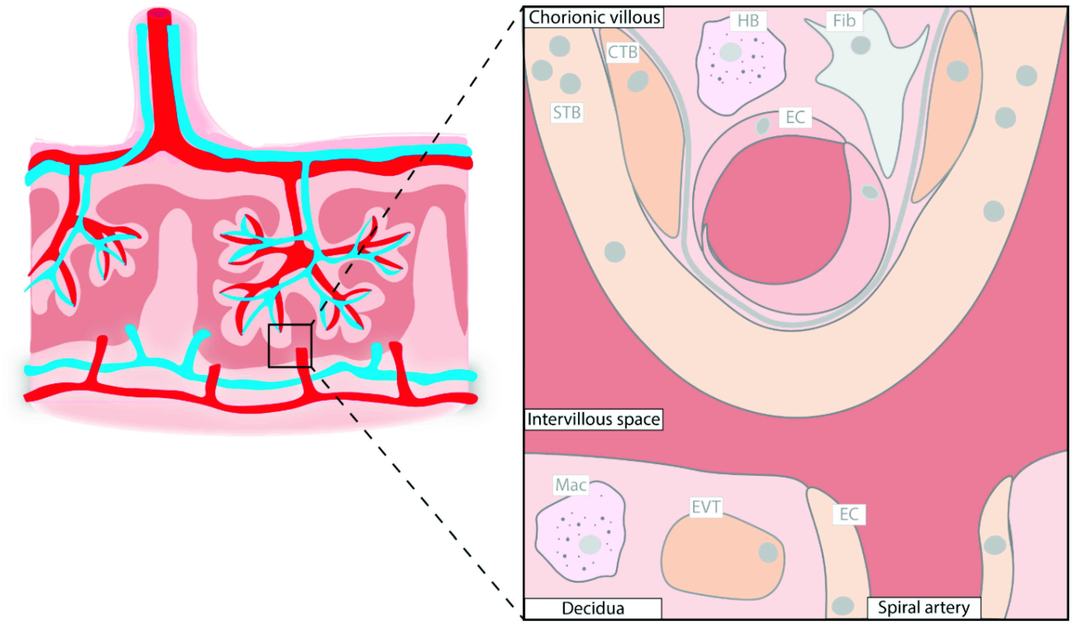 Ijerph 18 11545 g001