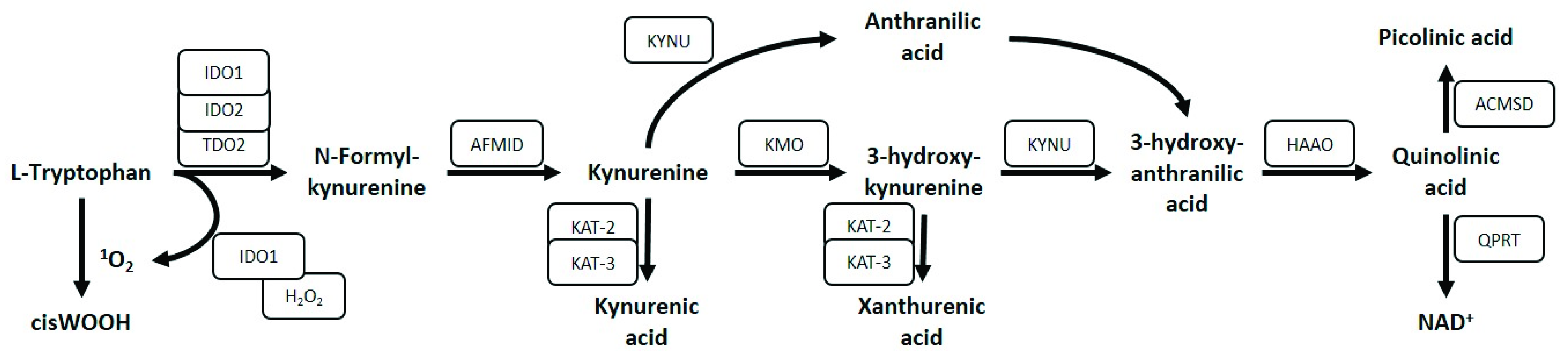 Ijerph 18 11545 g002