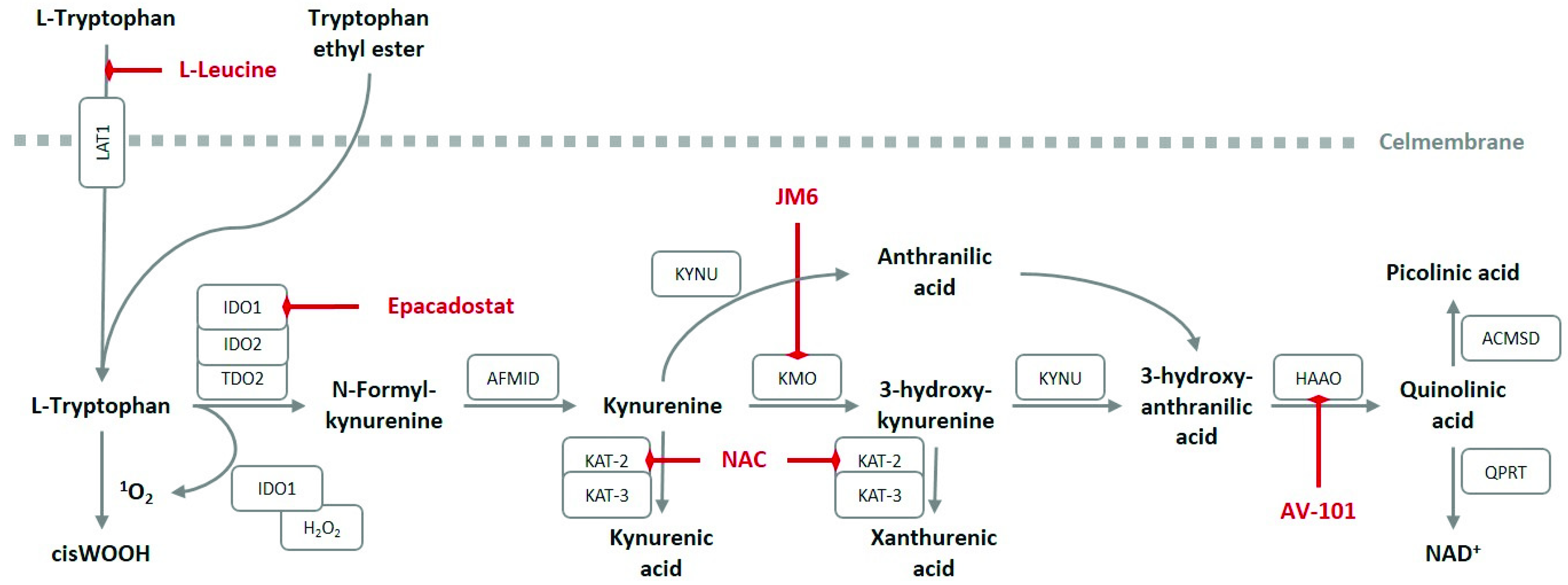 Ijerph 18 11545 g005