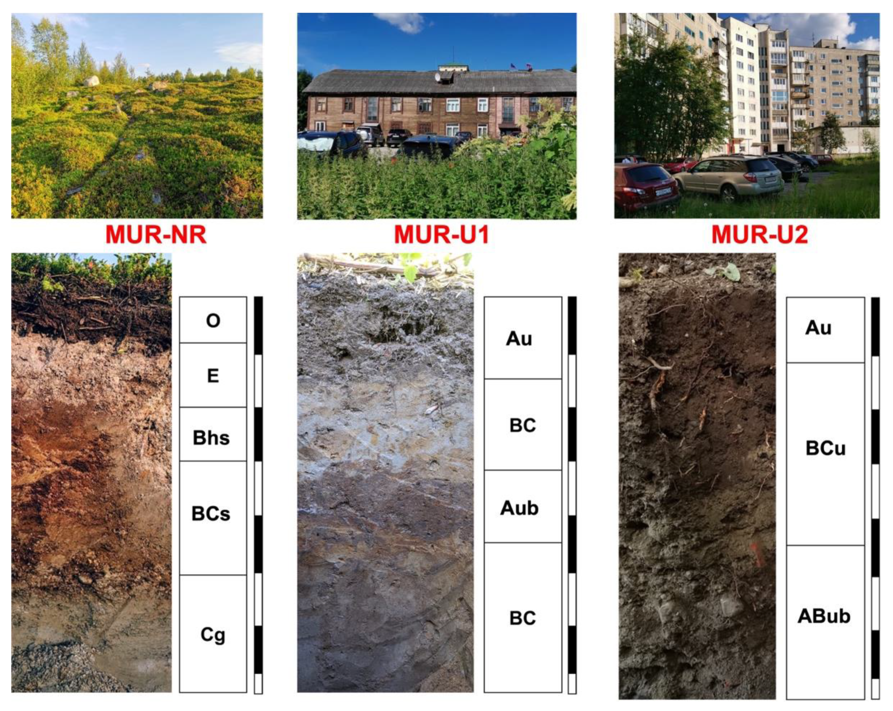 Ijerph 18 11665 g002