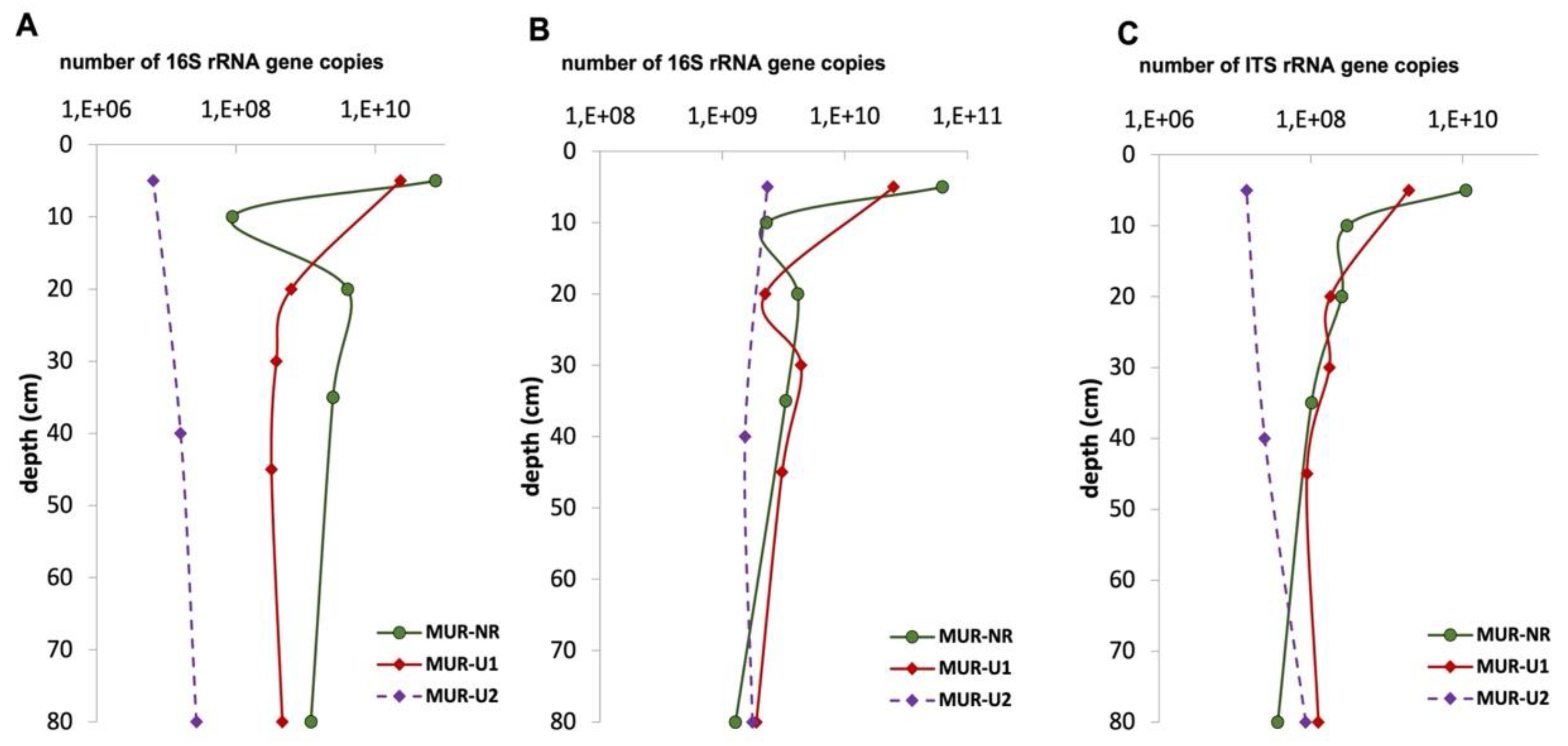 Ijerph 18 11665 g004