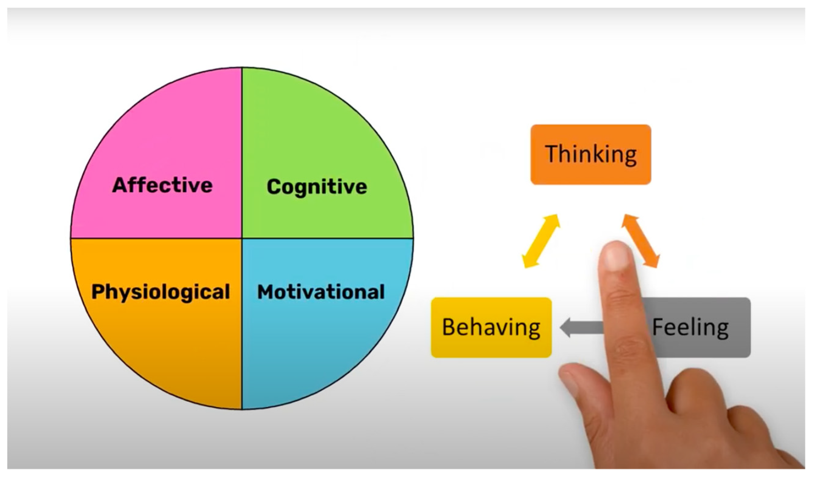 Ijerph 18 11712 g001 Ijerph 18 11712 g001