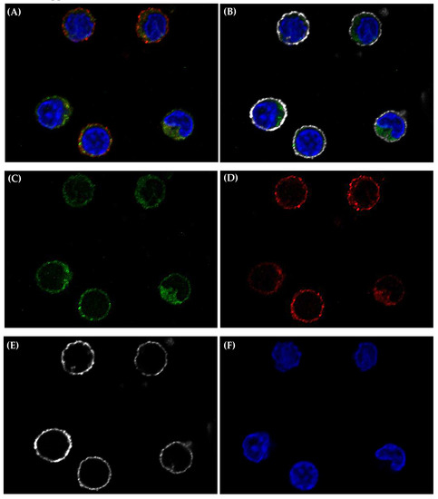 Ijerph 18 11879 g0a5 550