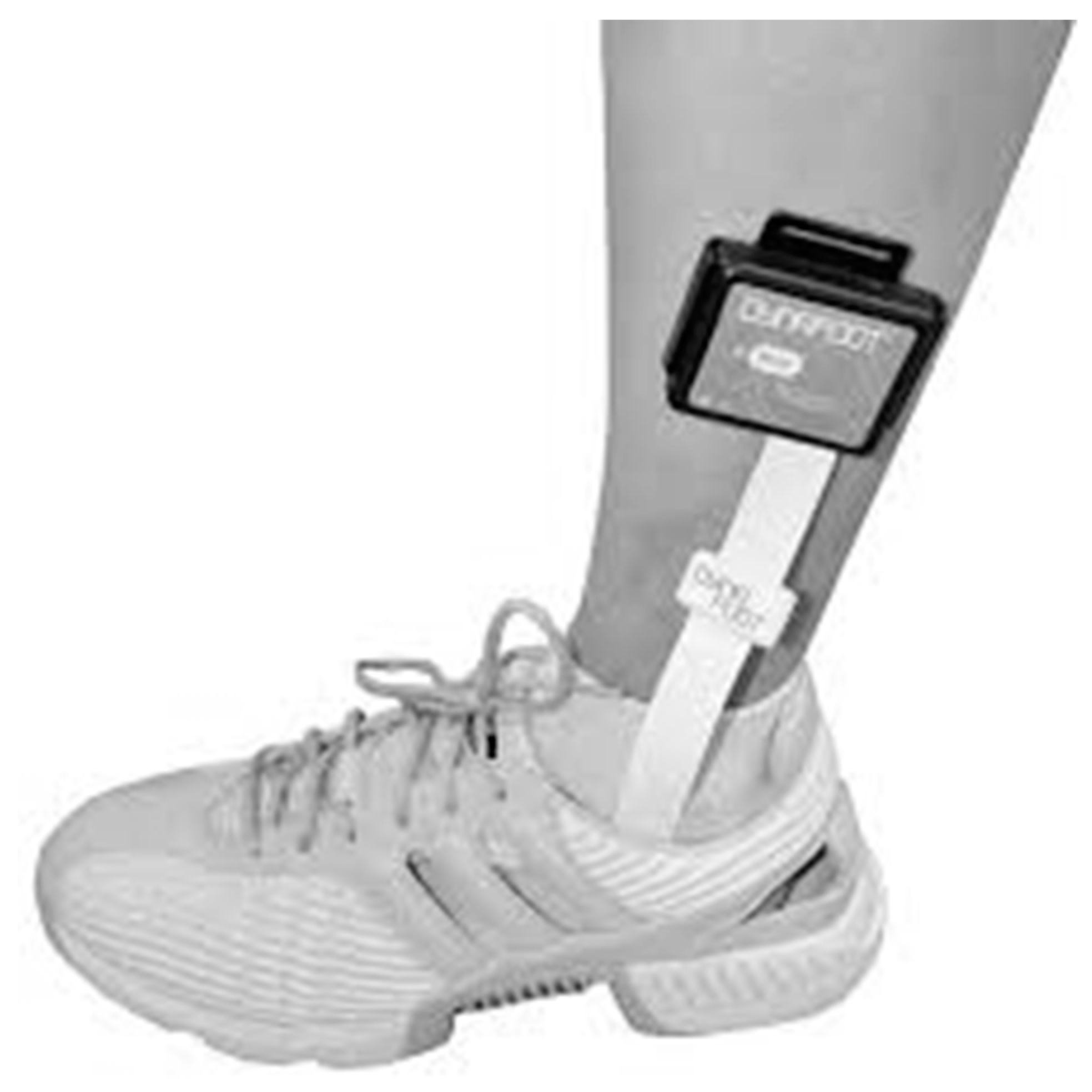 Ijerph 18 12072 g002