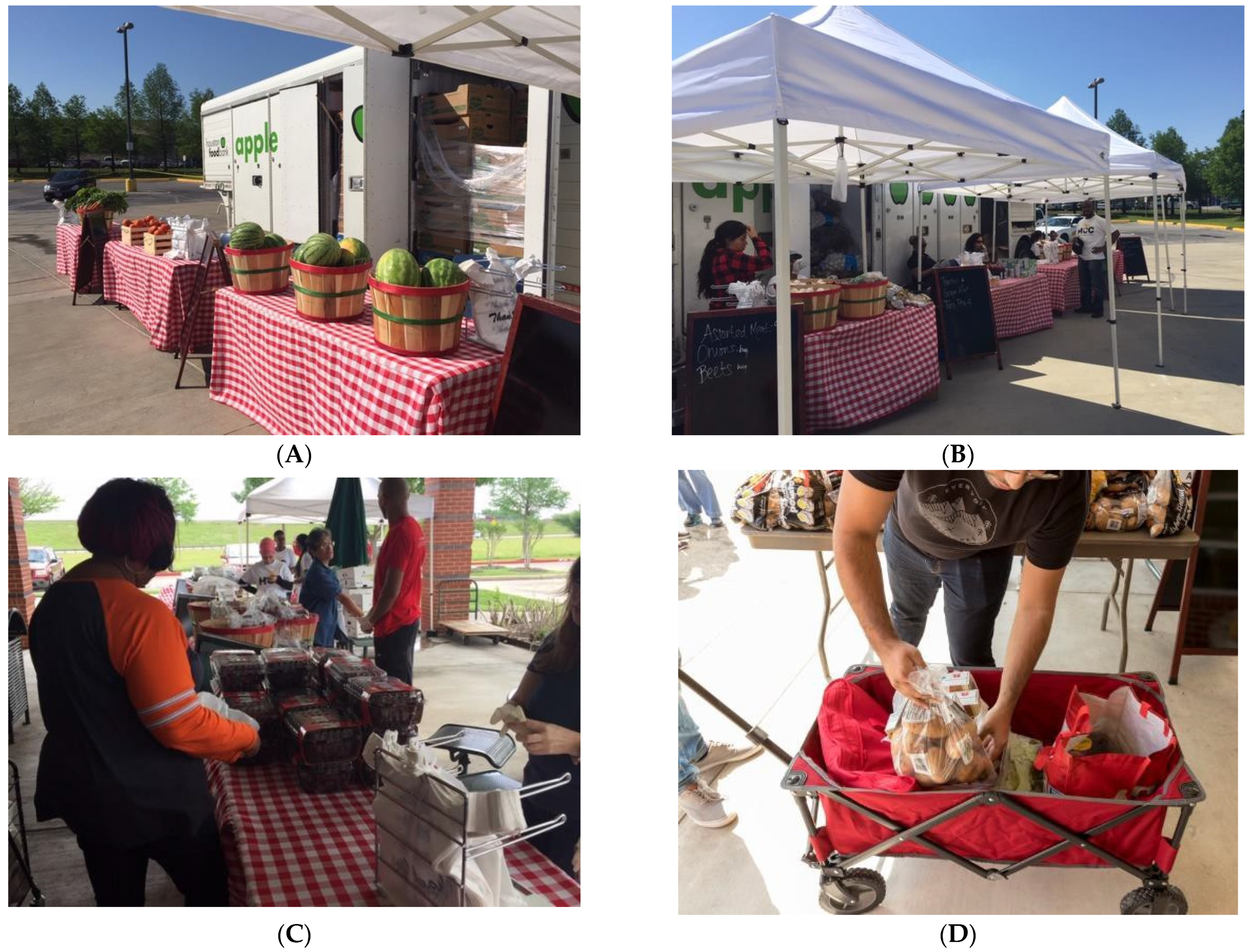 Ijerph 18 12106 g002