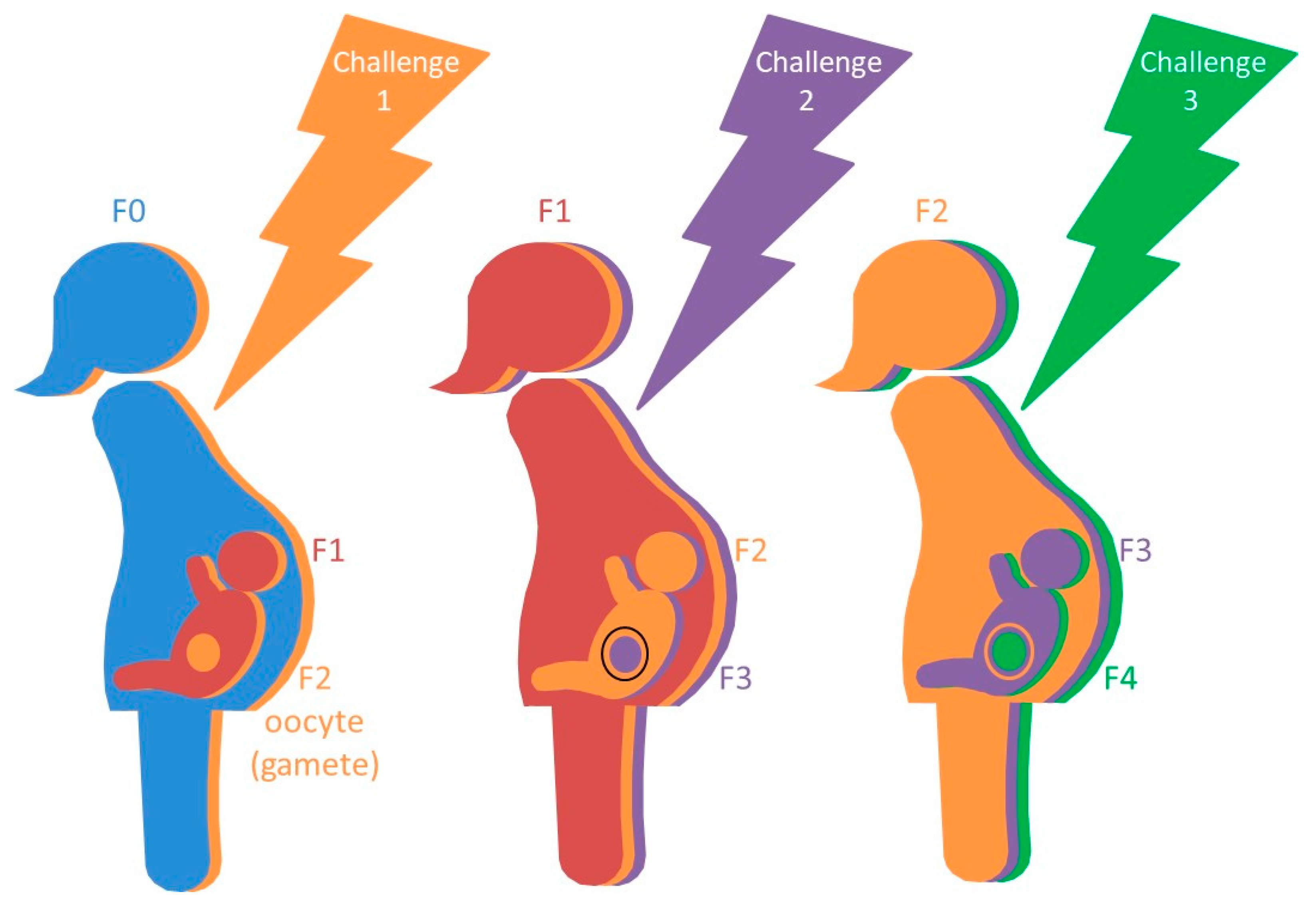 Ijerph 18 12152 g001