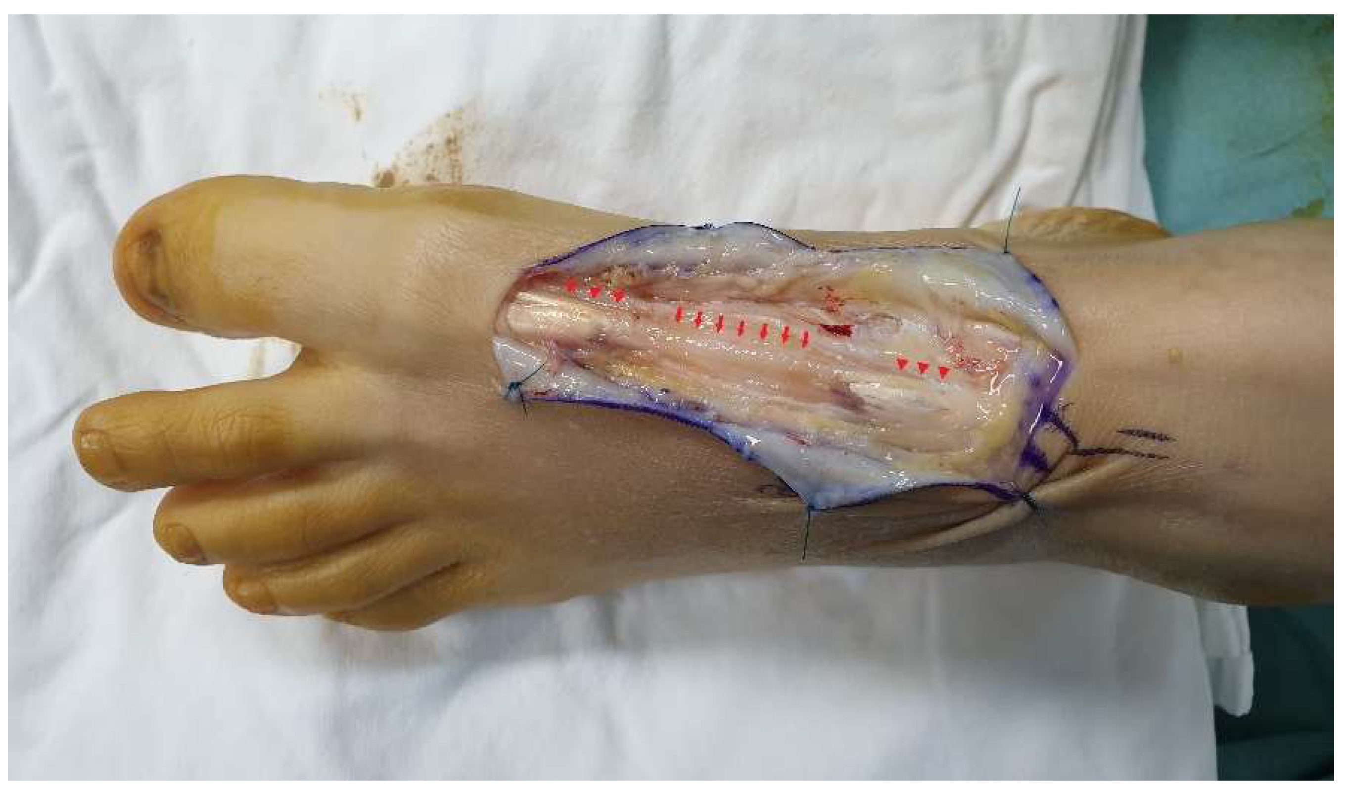 Ijerph 18 12157 g003