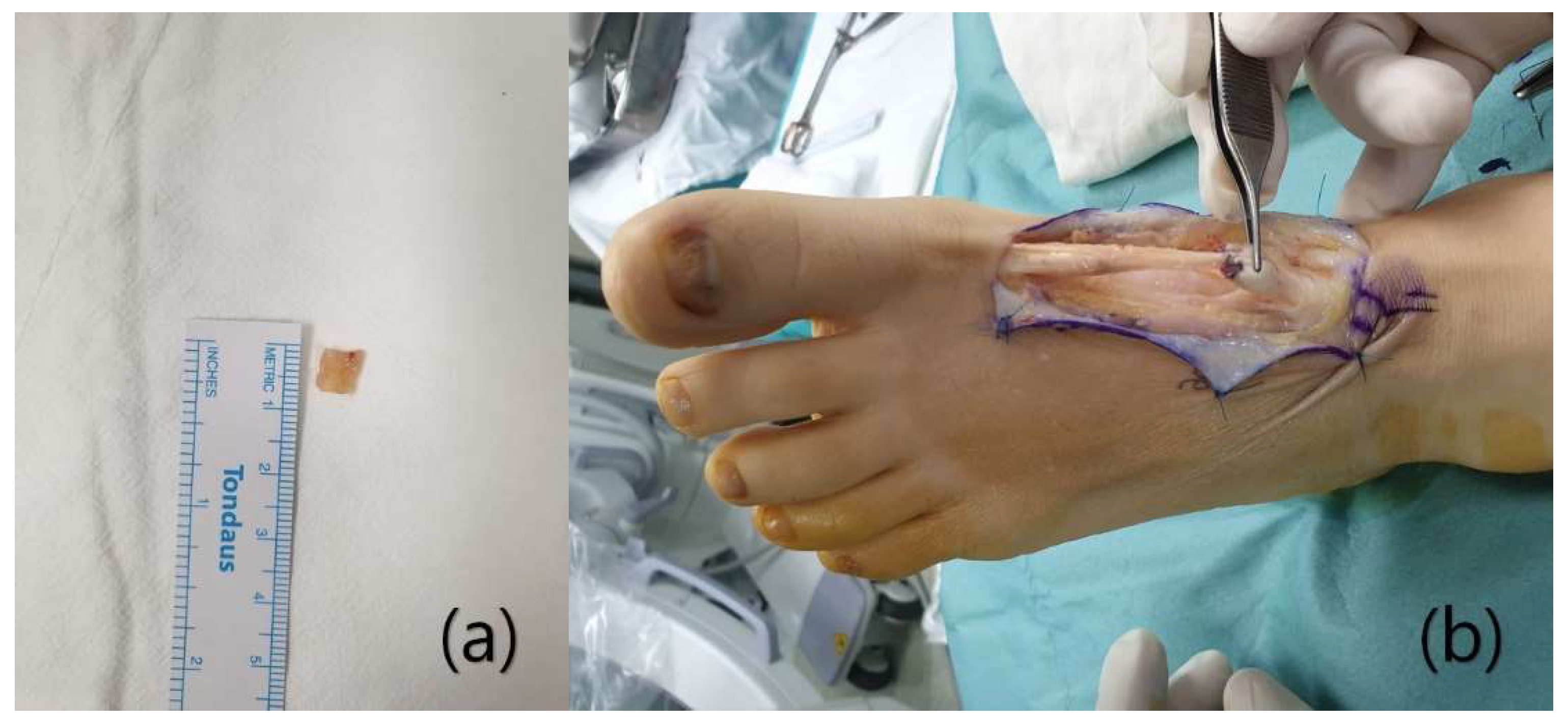 Ijerph 18 12157 g004