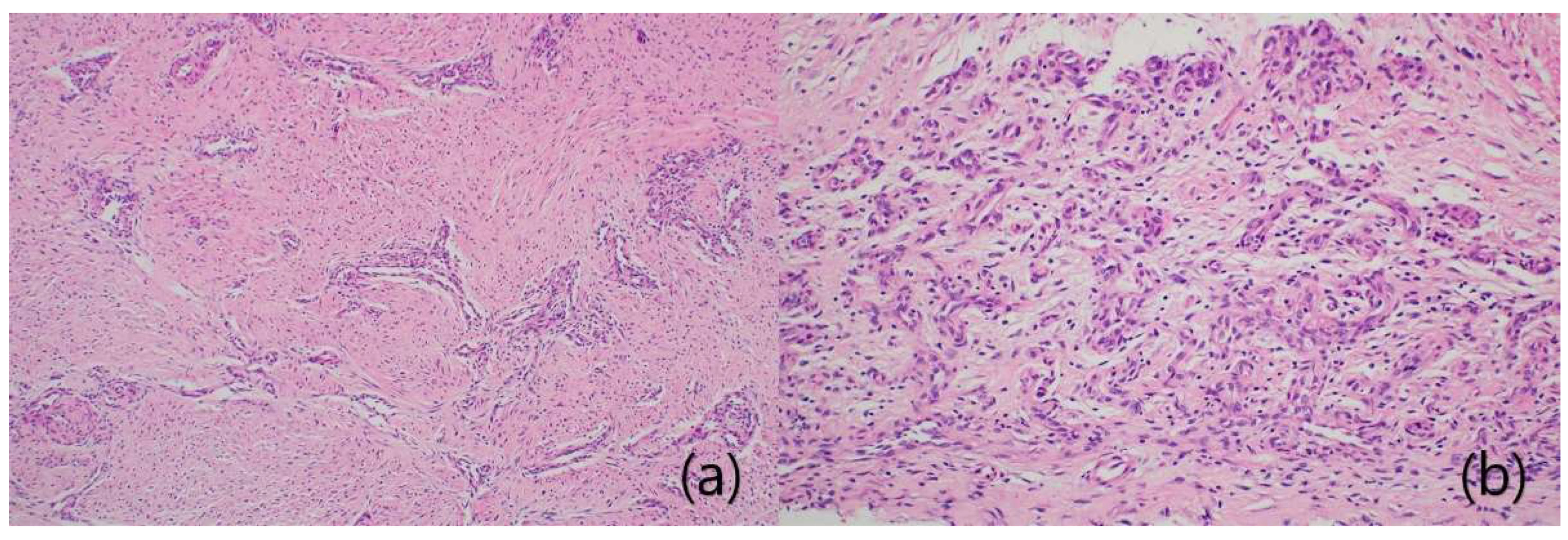 Ijerph 18 12157 g006