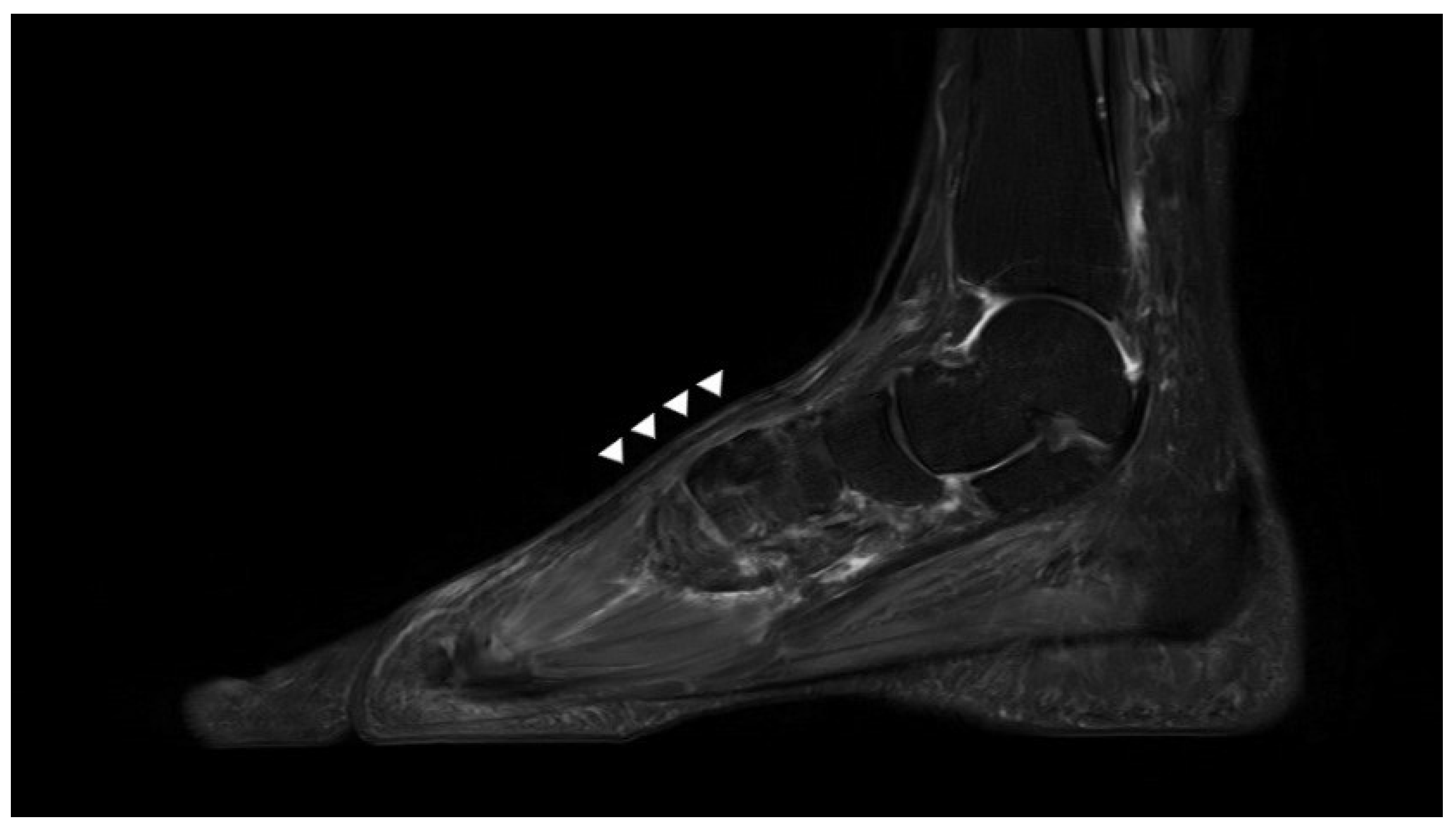 Ijerph 18 12157 g008