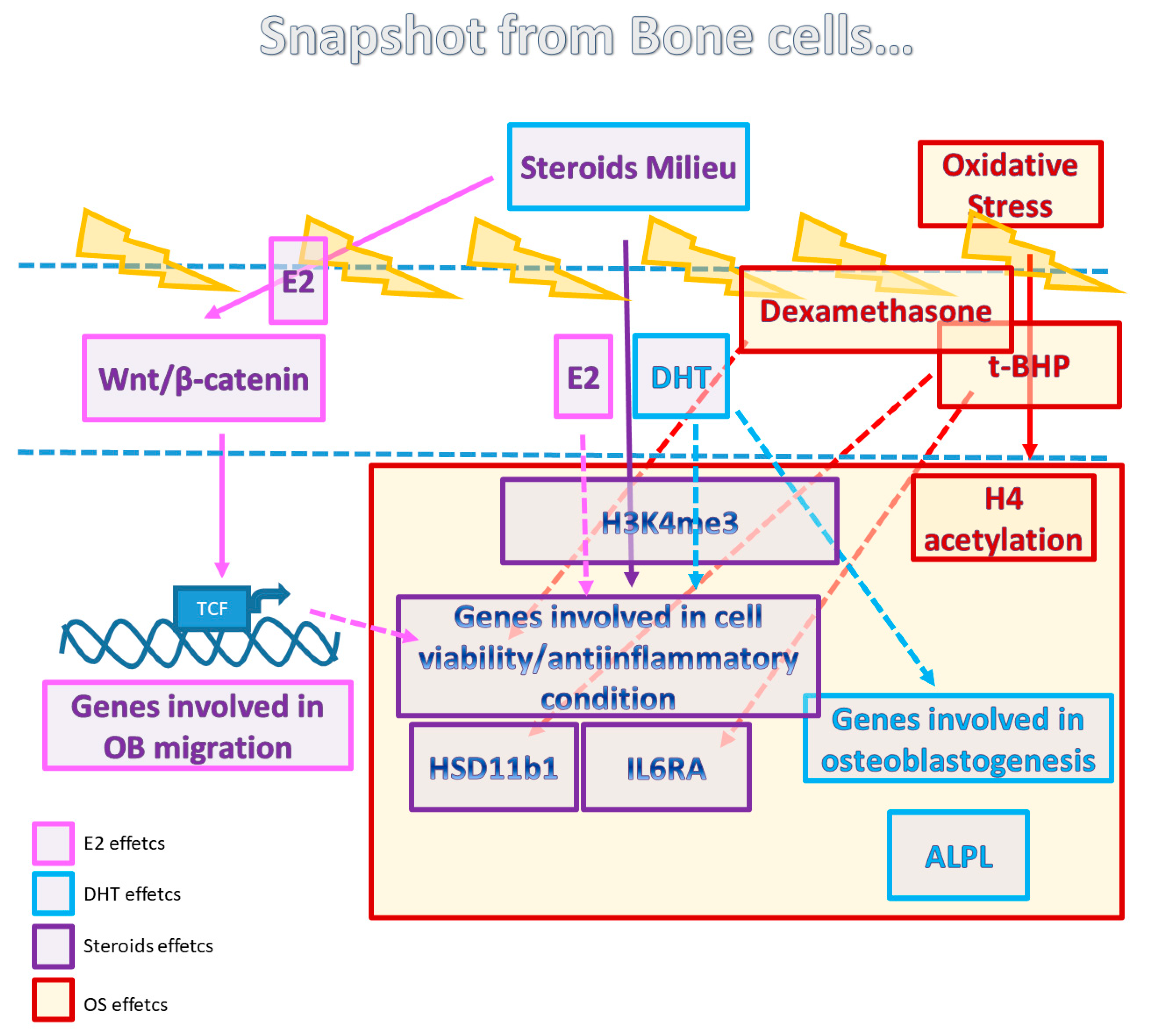 Ijerph 18 12168 sch001