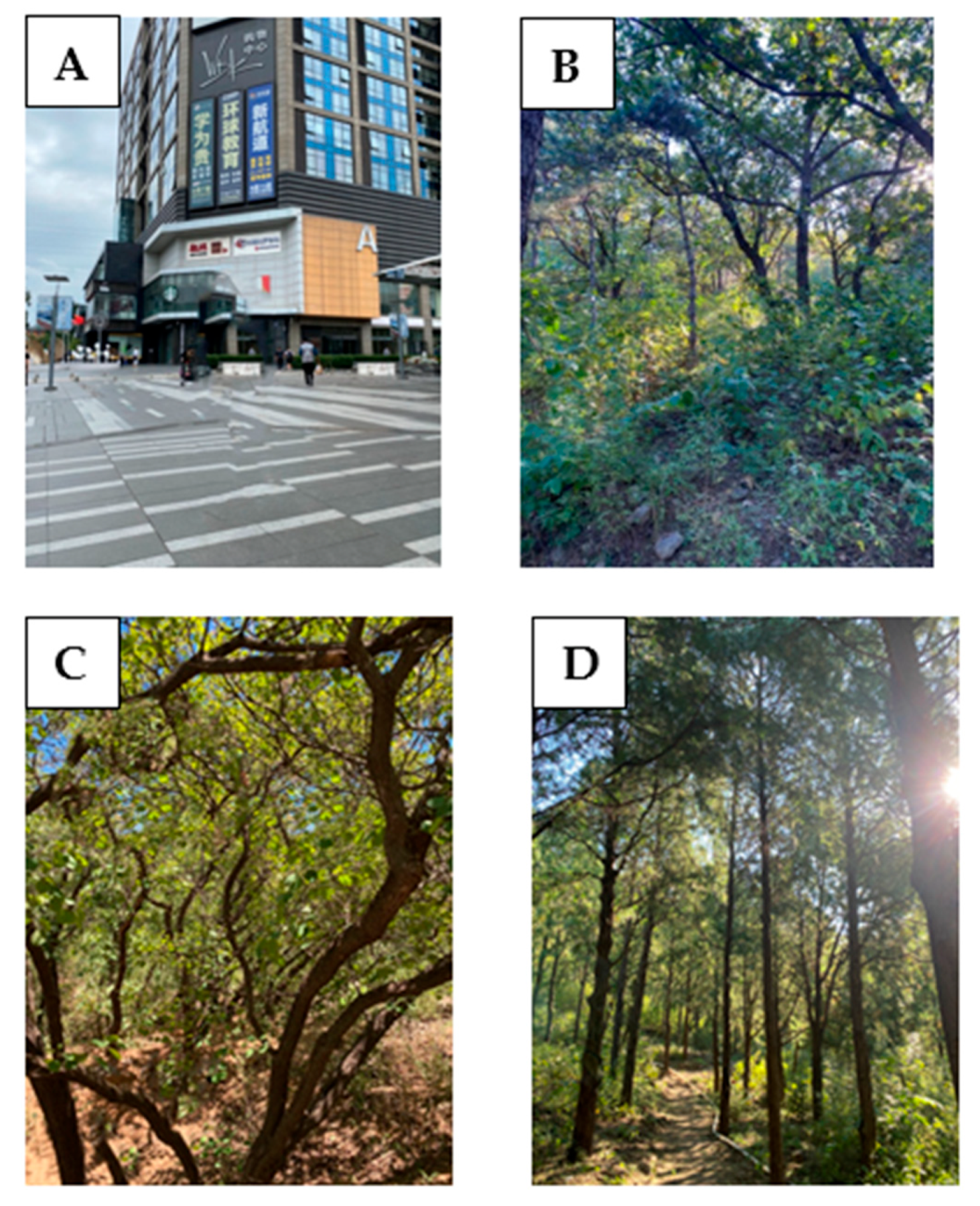 Ijerph 18 12224 g002