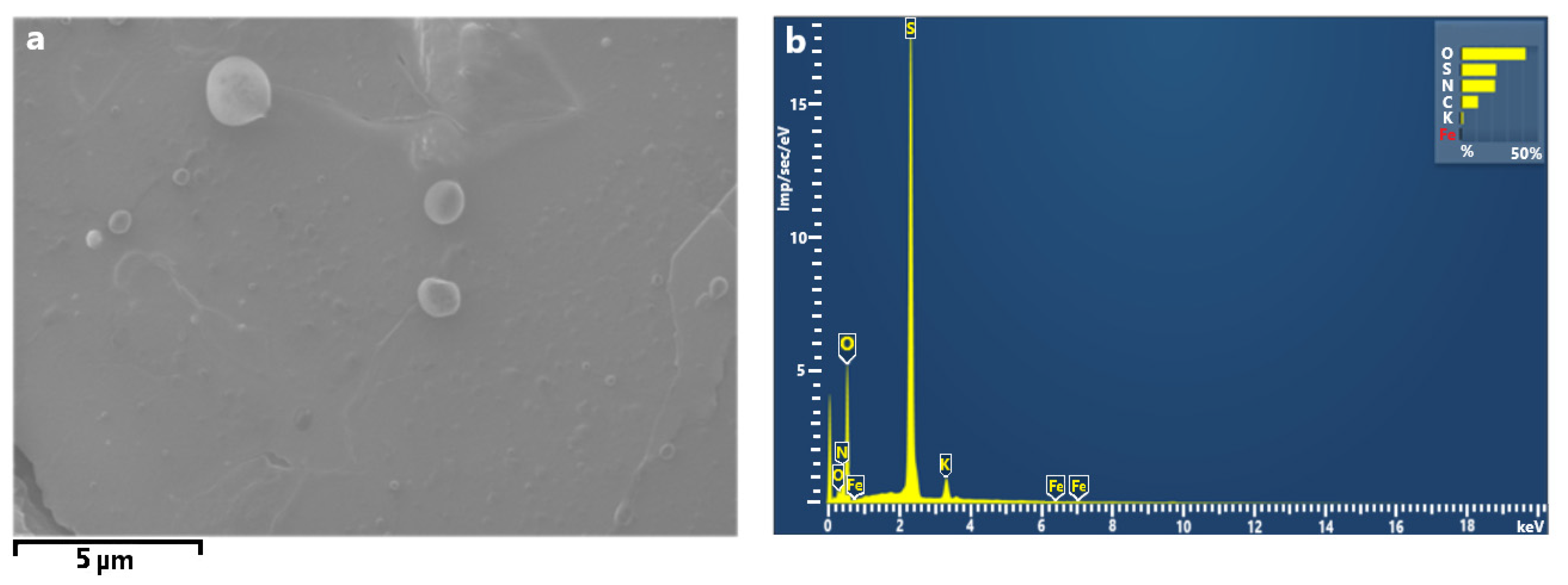 Ijerph 18 12354 g005