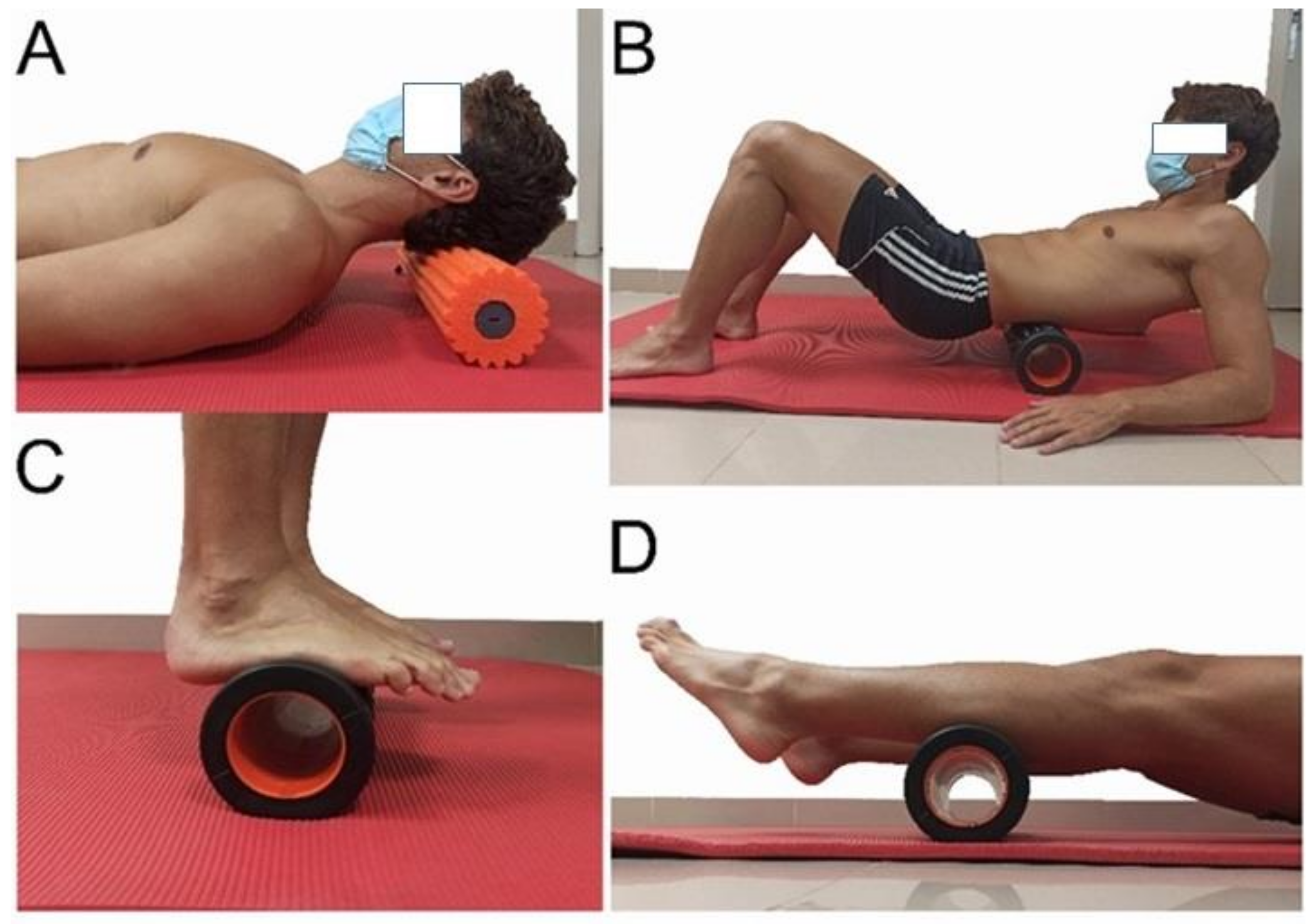 Ijerph 18 12356 g002