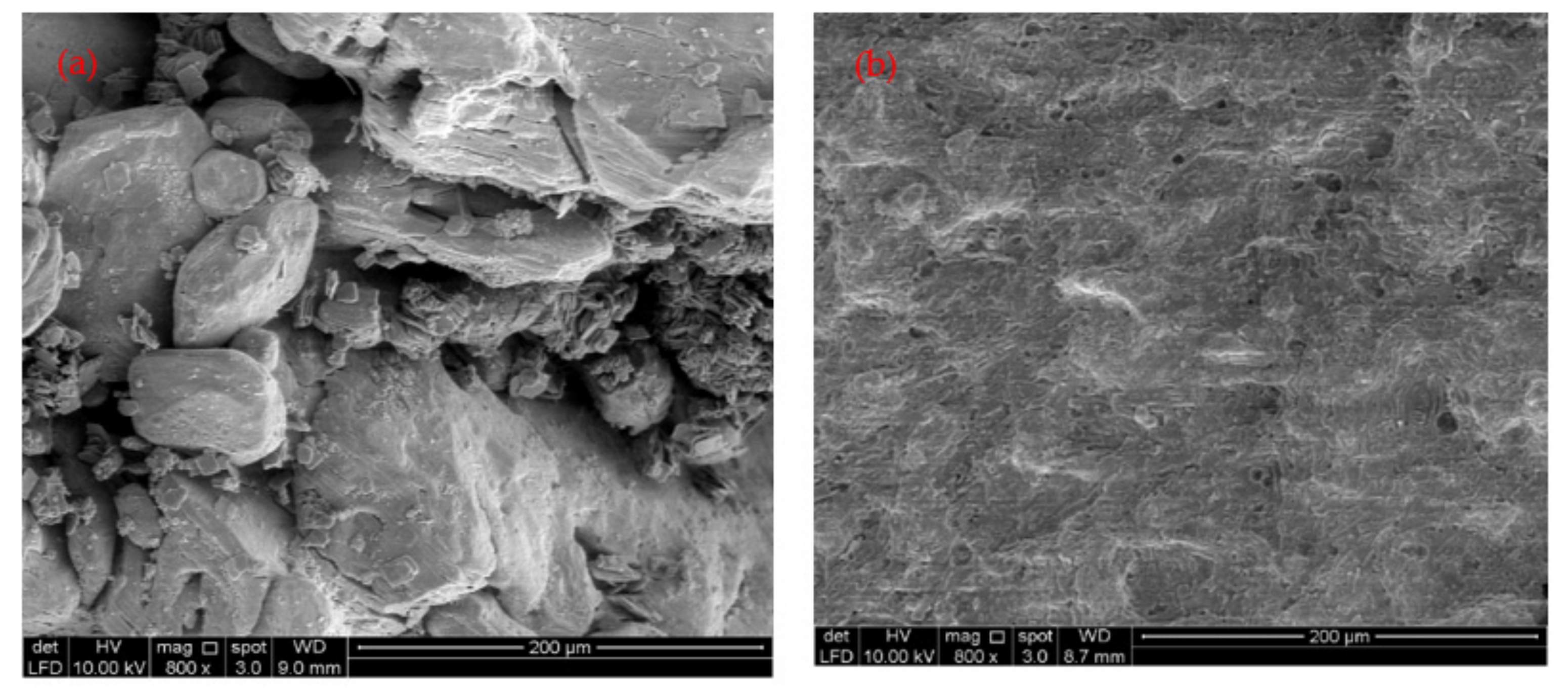 Ijerph 18 12427 g003