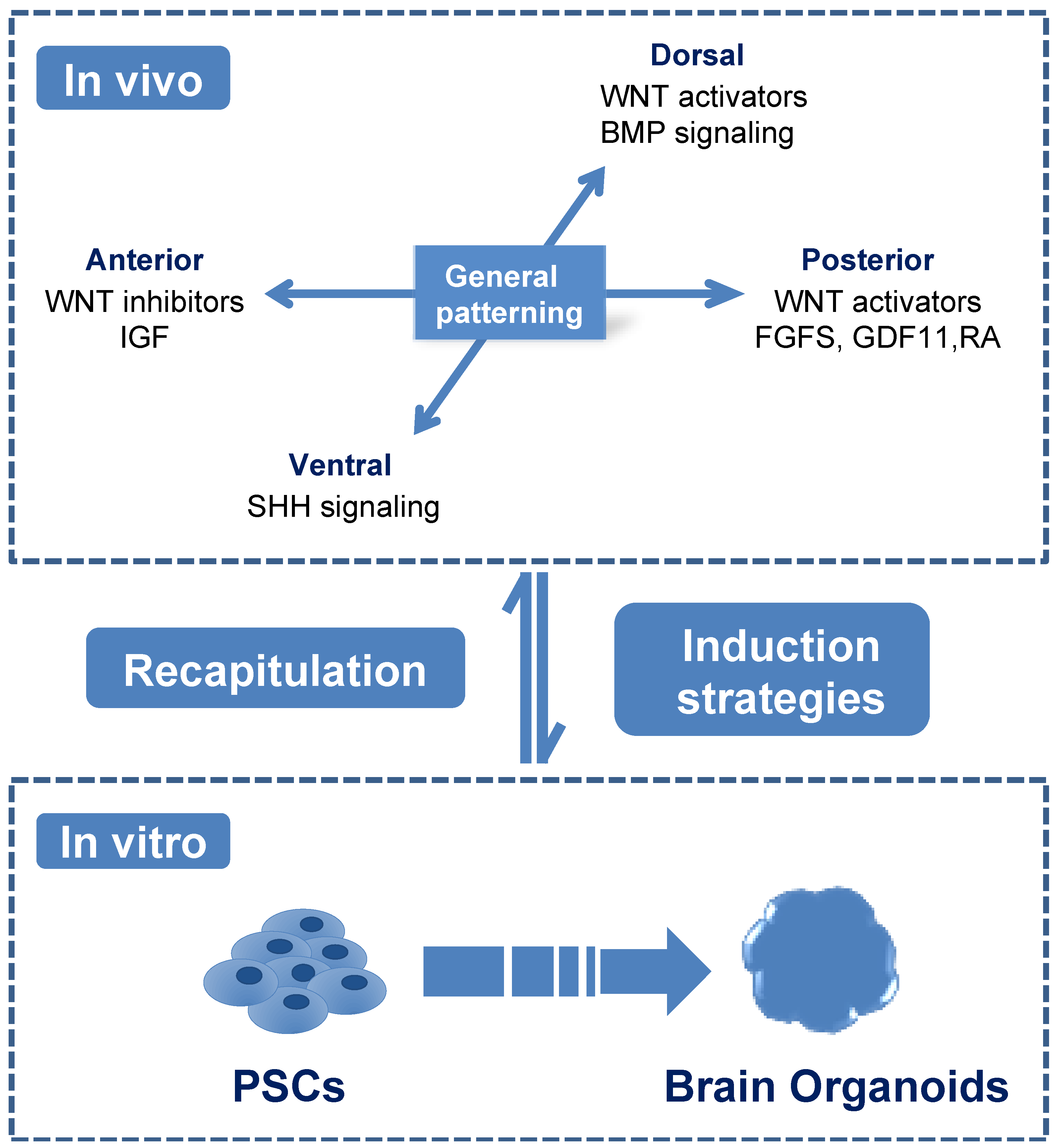 Ijerph 18 12431 g001