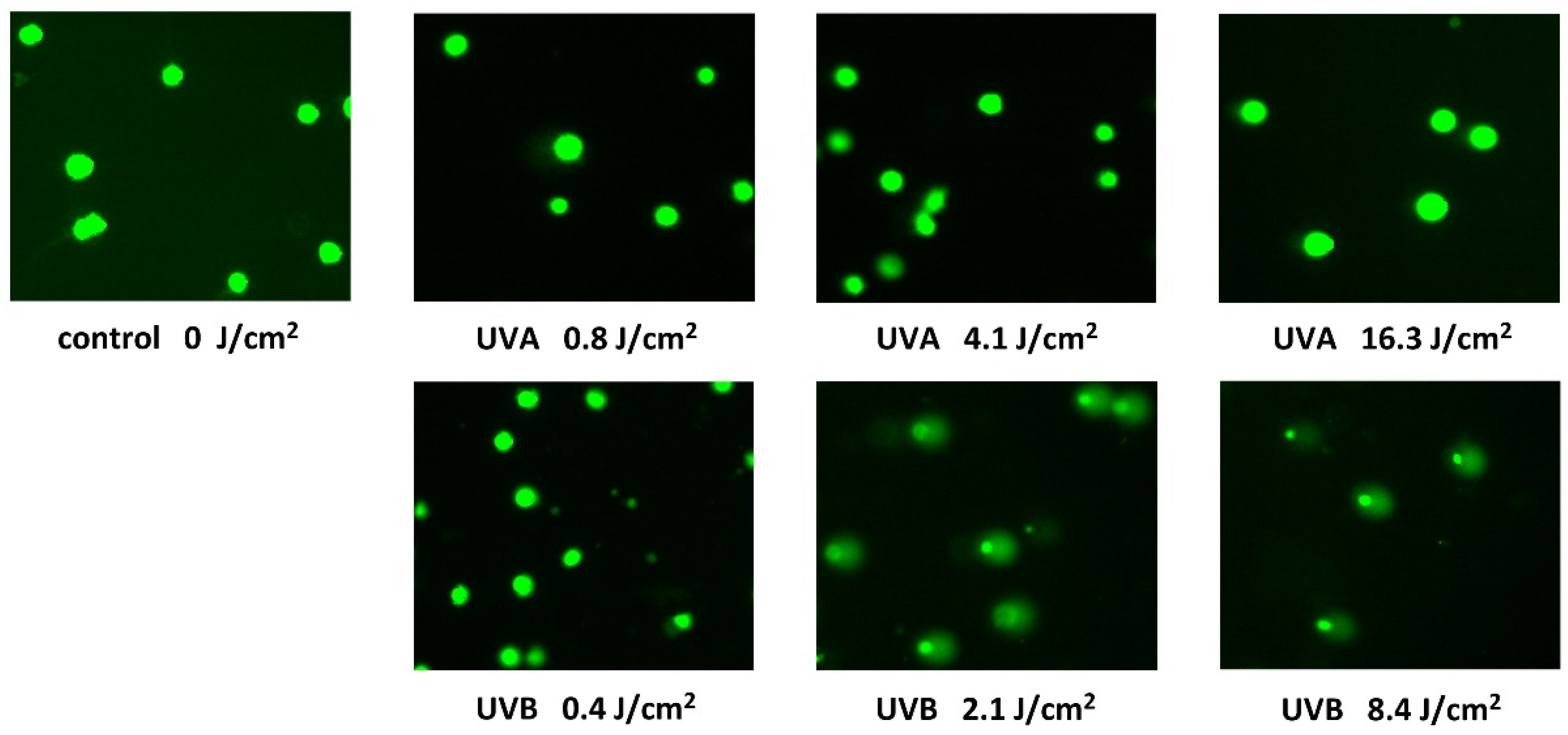 Ijerph 18 12480 g004