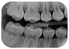 Ijerph 18 12585 i004