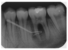 Ijerph 18 12585 i007