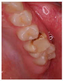 Ijerph 18 12585 i012