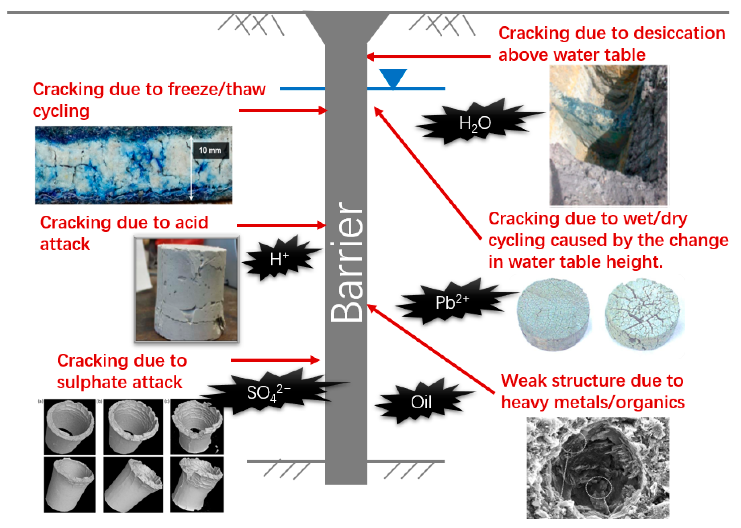 Ijerph 18 12643 g001