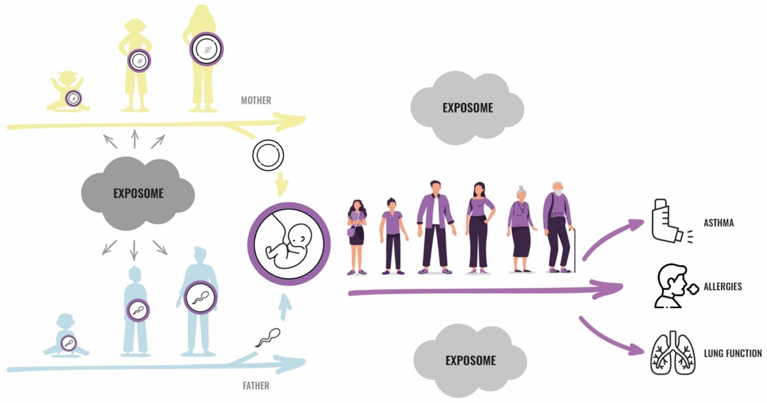 Ijerph 18 12684 g001 Ijerph 18 12684 g001