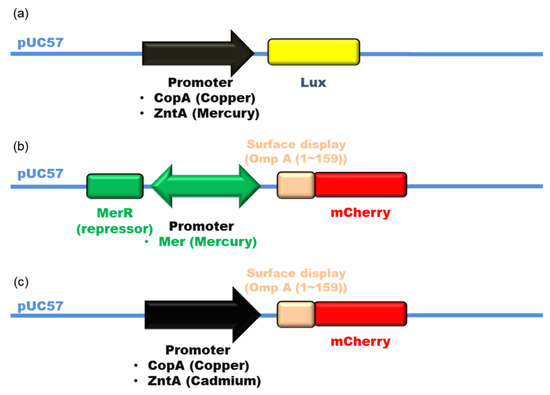 Ijerph 18 12721 g0a1 550