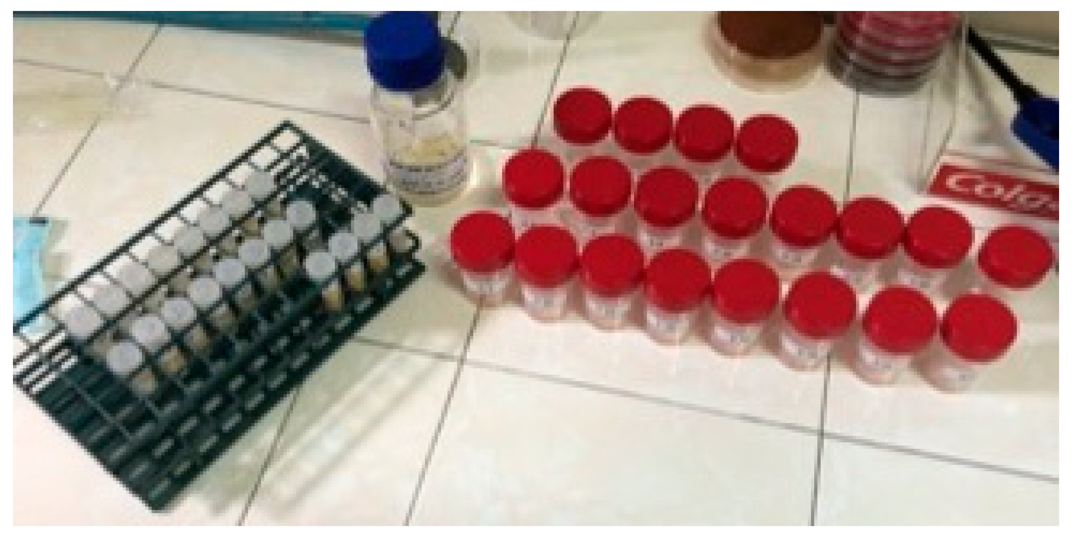 Ijerph 18 12847 g002