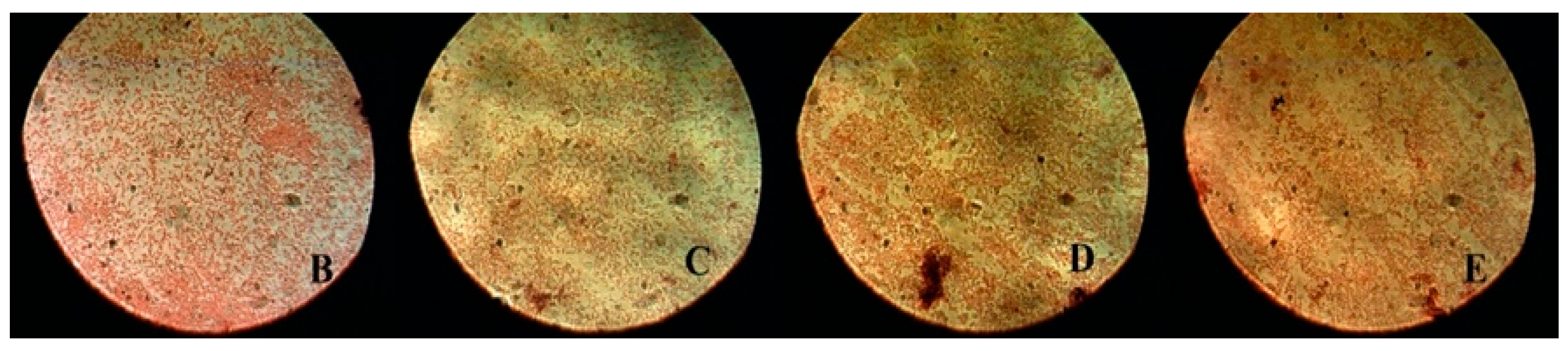 Ijerph 18 12847 g004