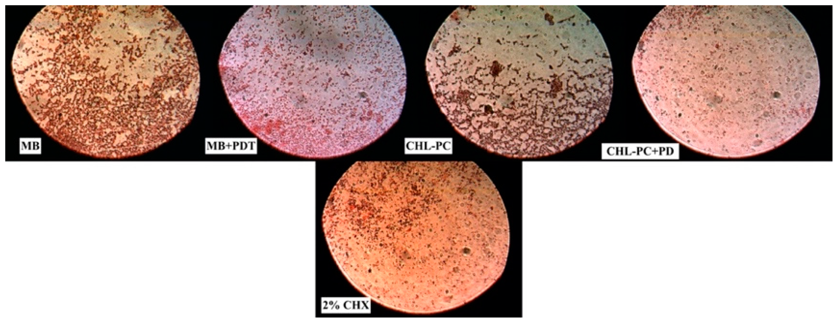 Ijerph 18 12847 g005