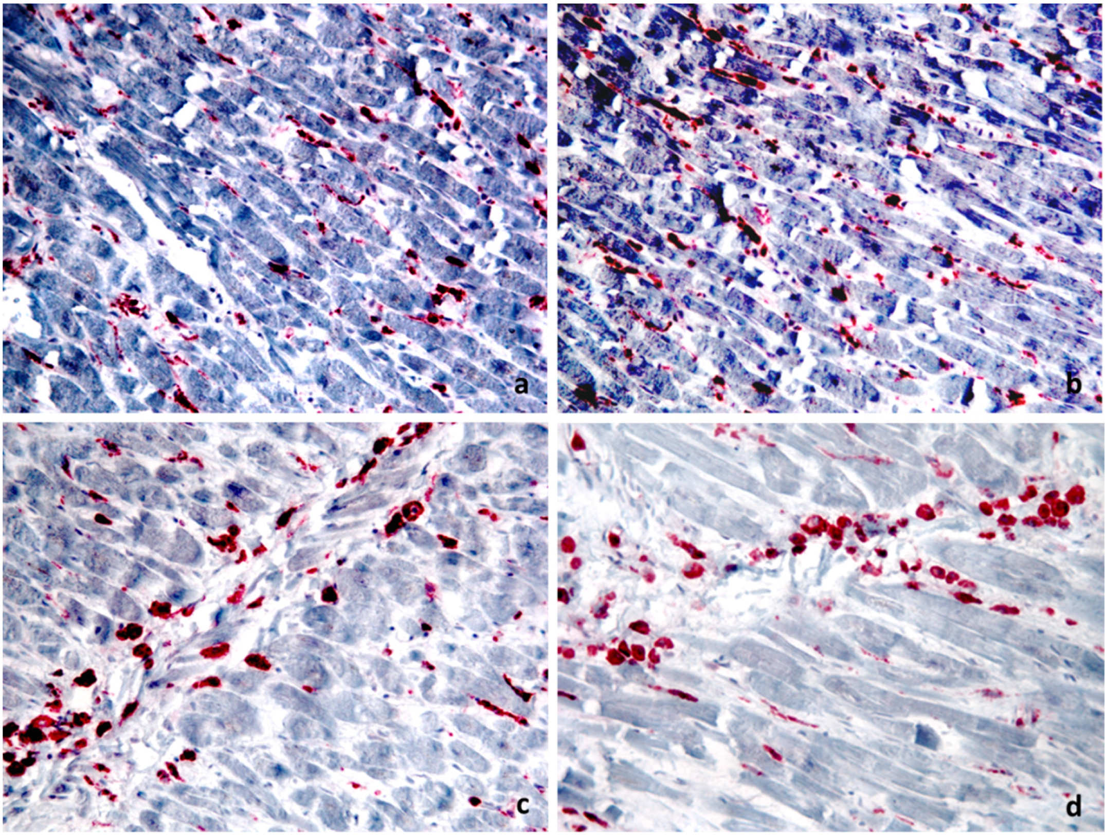 Ijerph 18 12911 g003