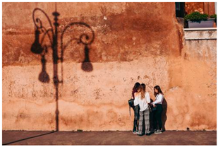 Ijerph 18 12989 i006