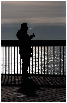 Ijerph 18 12989 i025