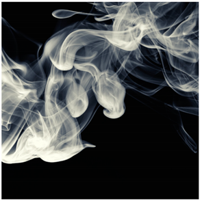 Ijerph 18 12989 i029