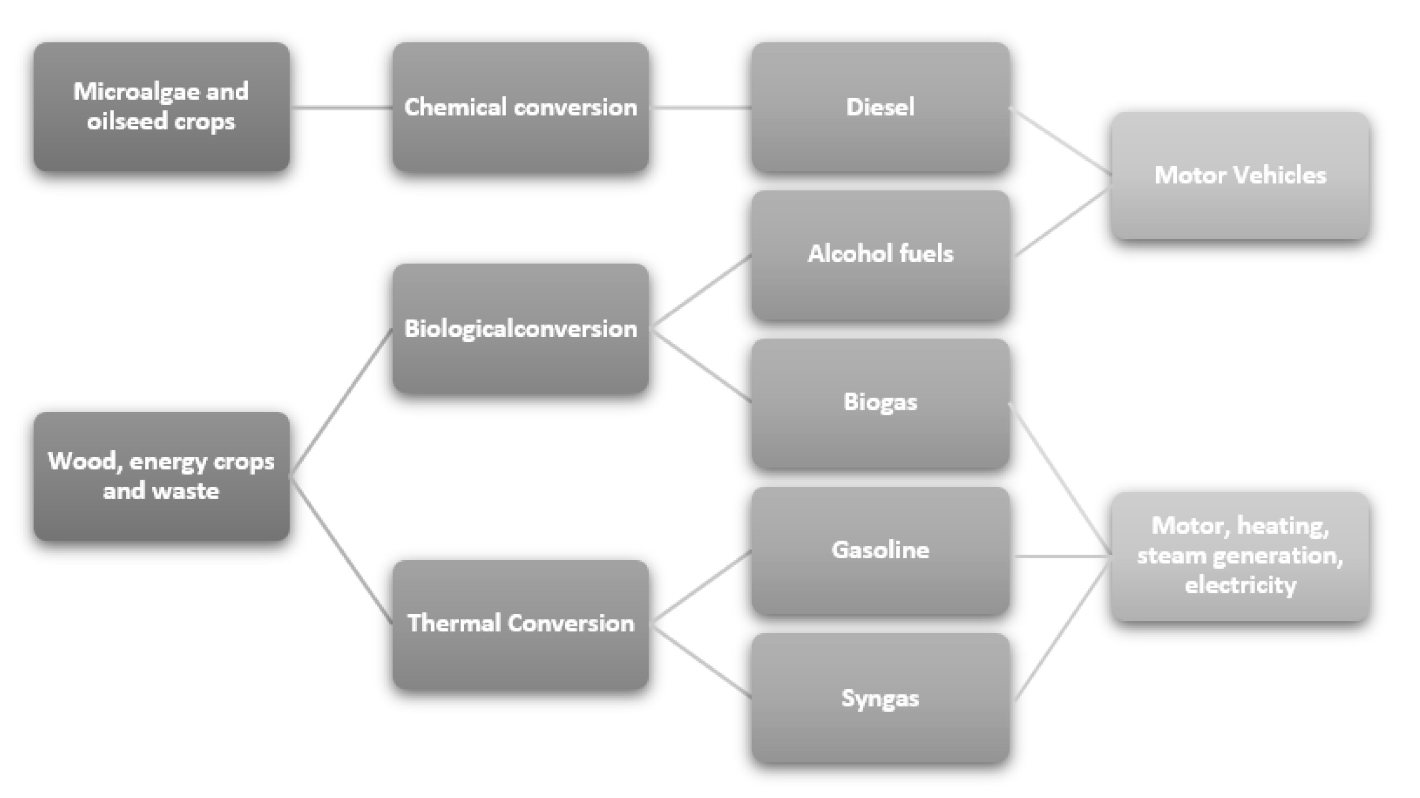 Ijerph 18 13041 g003